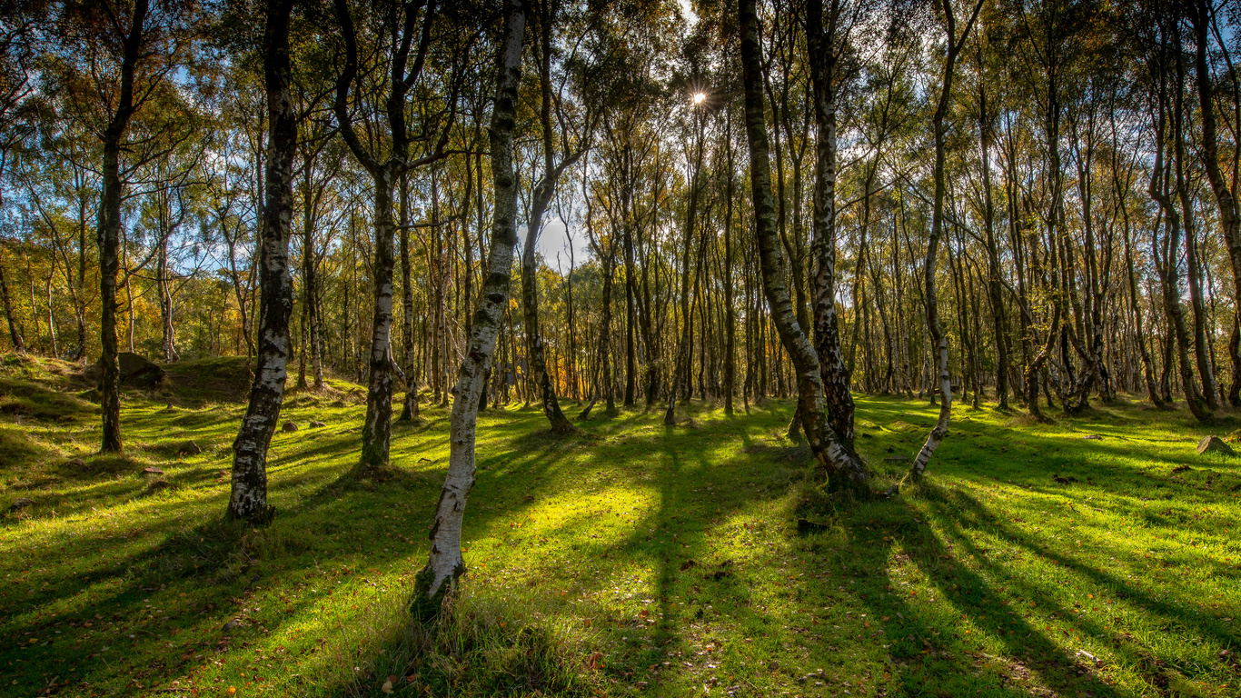 , , , , bole hill derbyshire, , , 