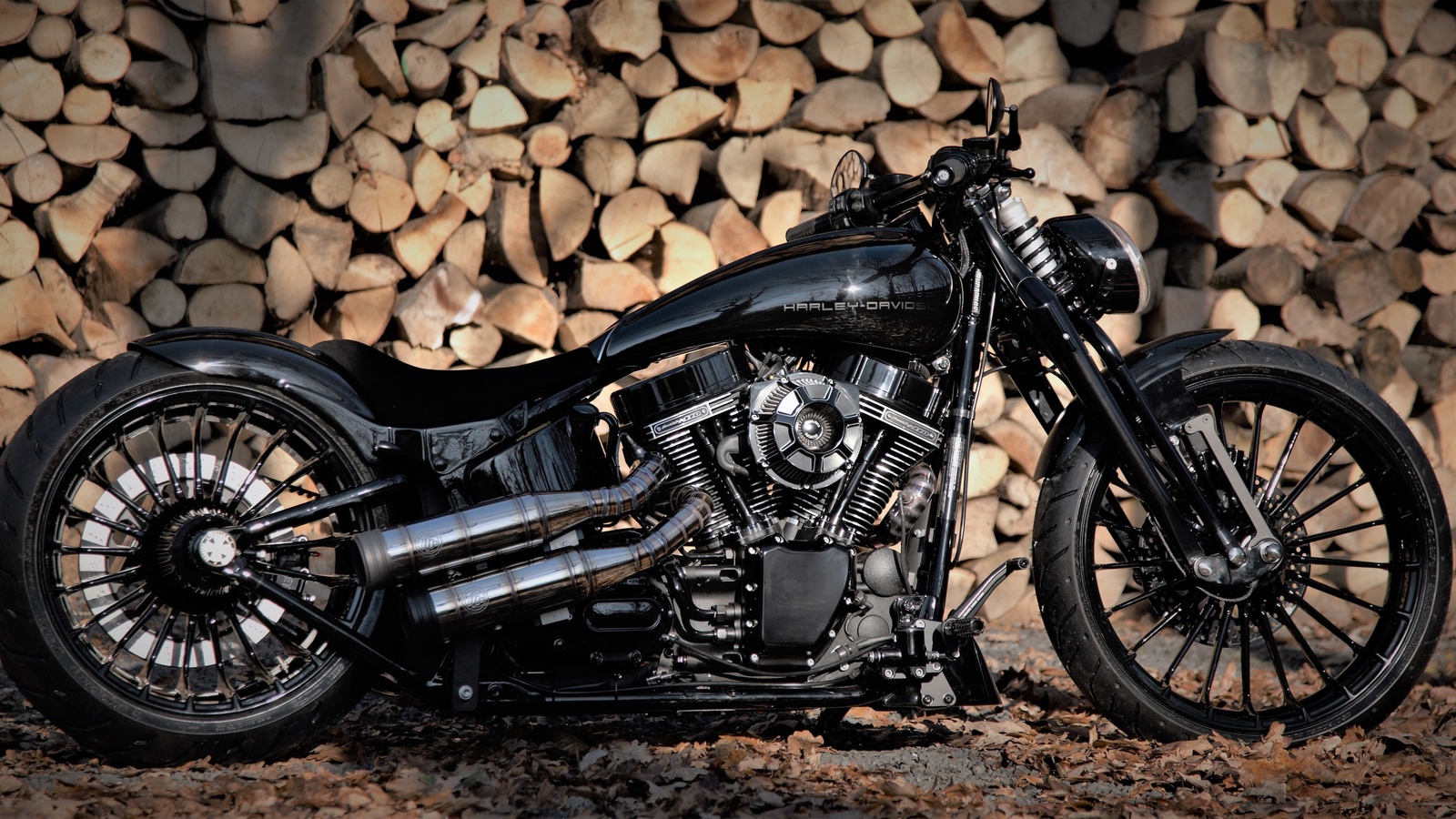 harley-davidson, 