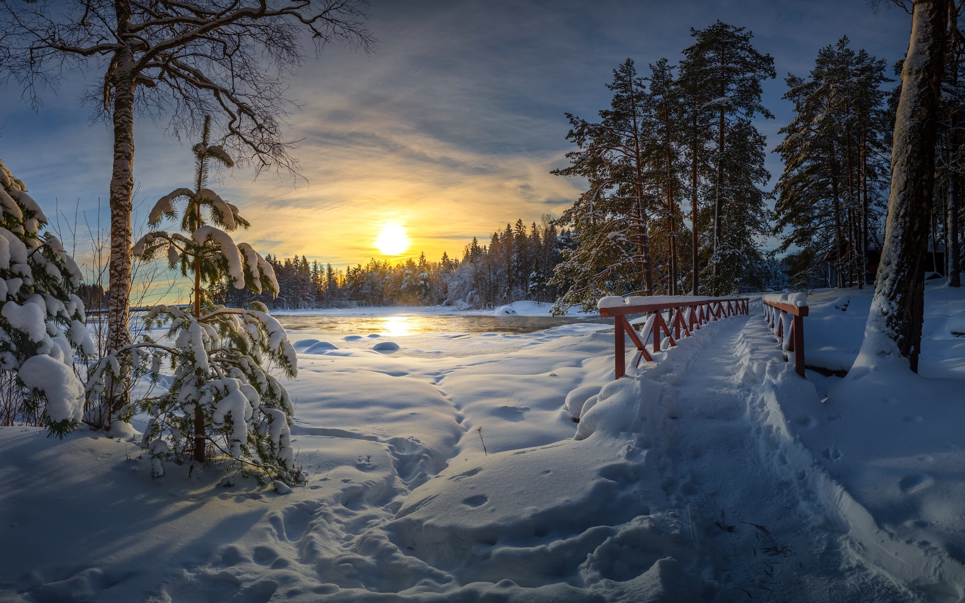 Дорожка следов картинки