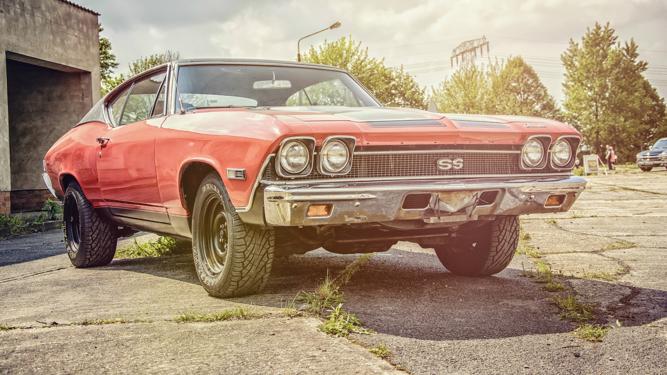 chevrolet, chevelle, ss