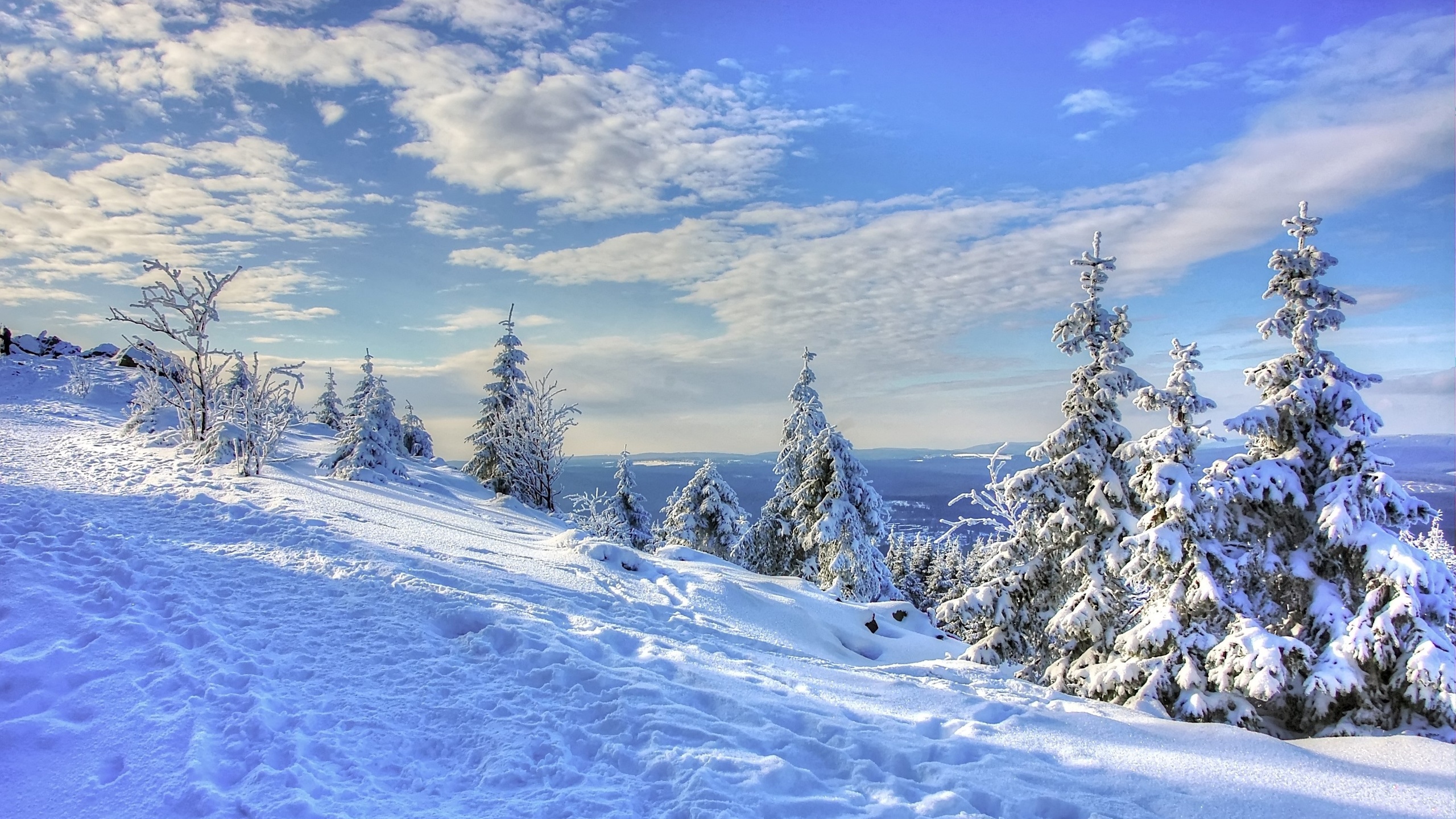 Зимний пейзаж с голубым небом