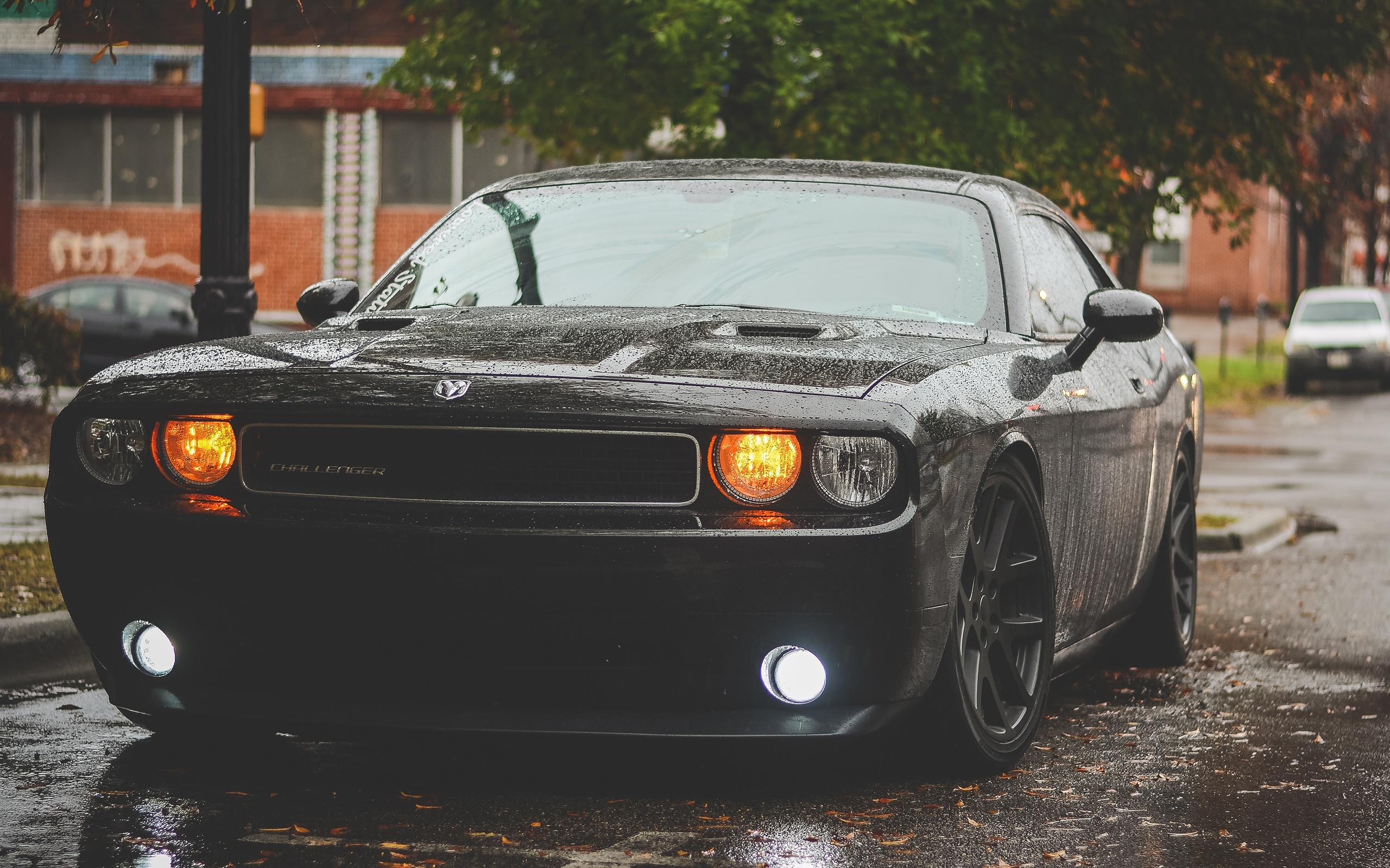 , challenger, 