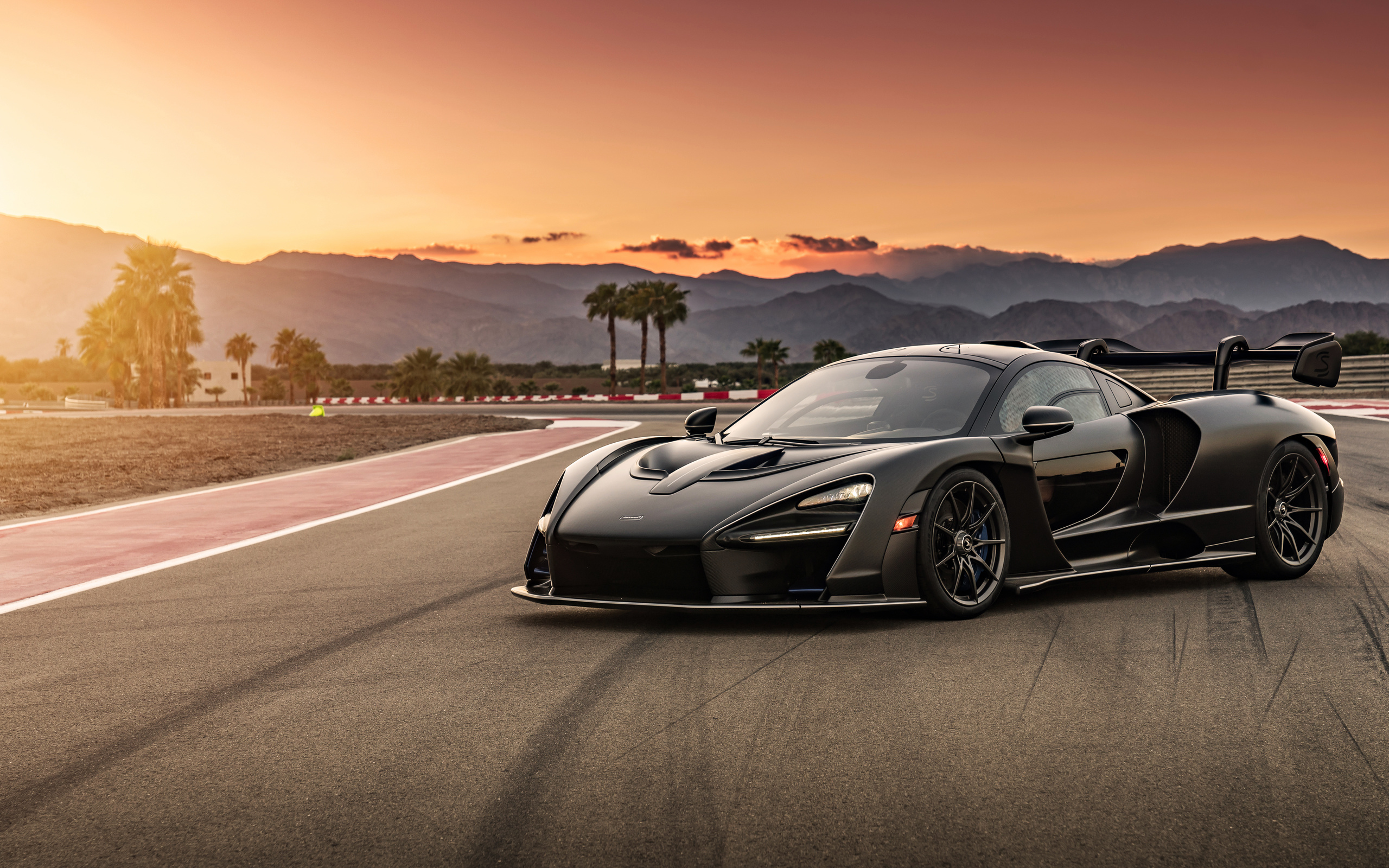 mclaren, senna