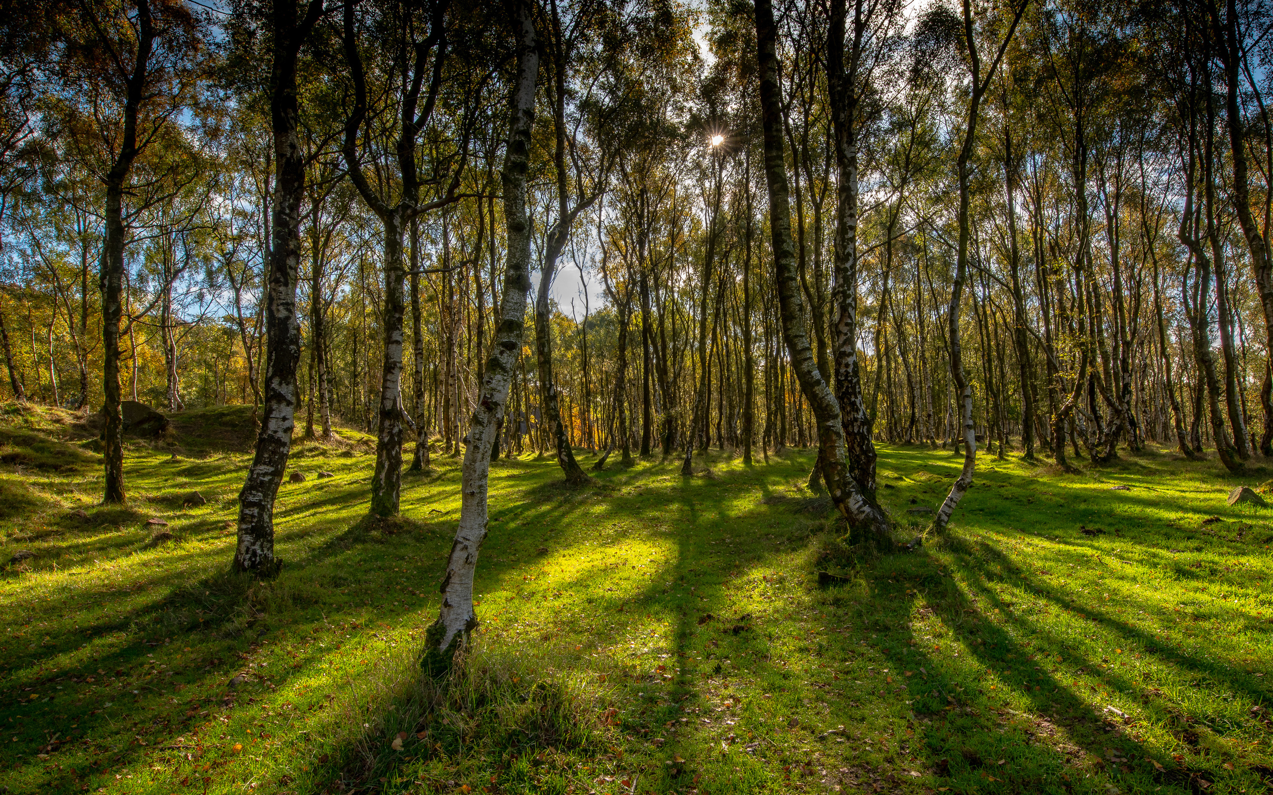 , , , , bole hill derbyshire, , , 