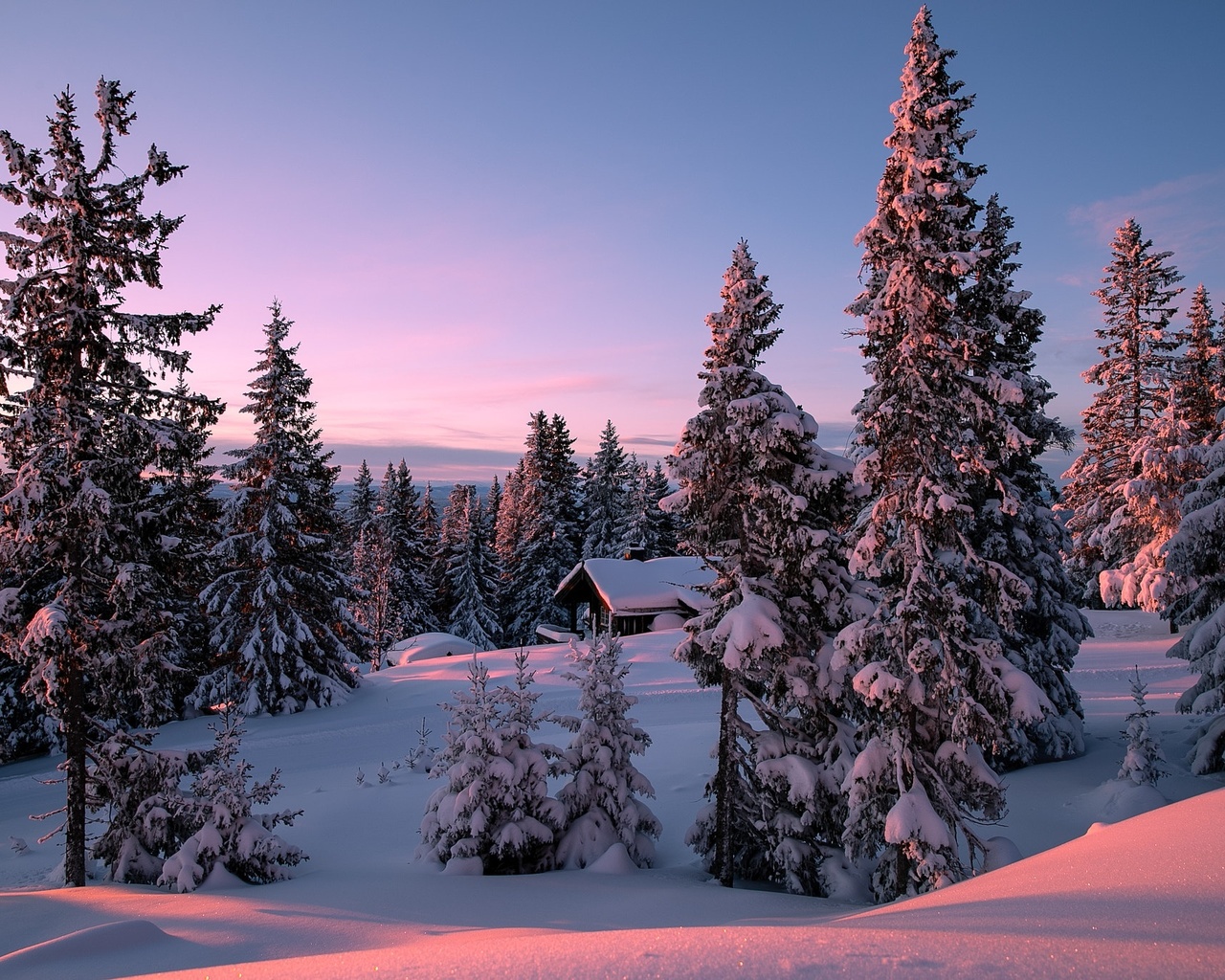 Картинки природа, пейзаж, зима, деревья, ели, холм, allan pedersen, дом,  утро, рассвет - обои 1280x1024, картинка №319026