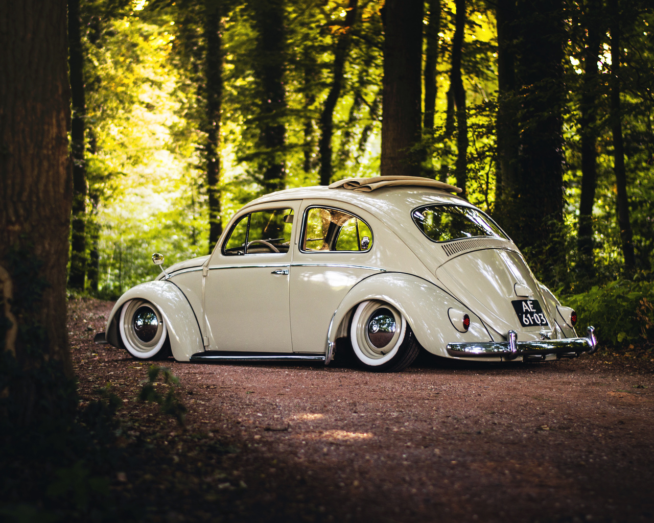 volkswagen, beetle