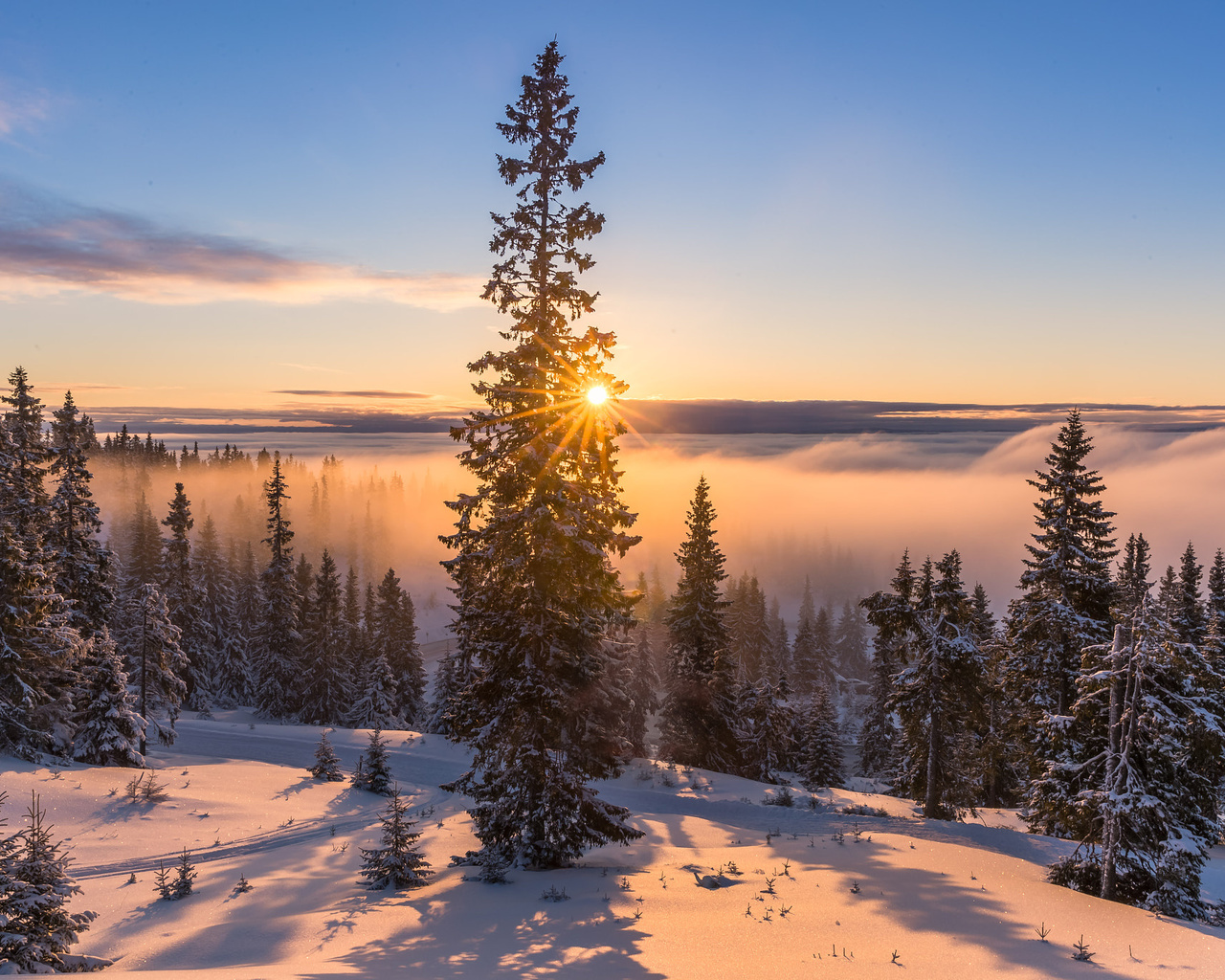 , , , , , , , , , , , , , jorn allan pedersen, allan pedersen