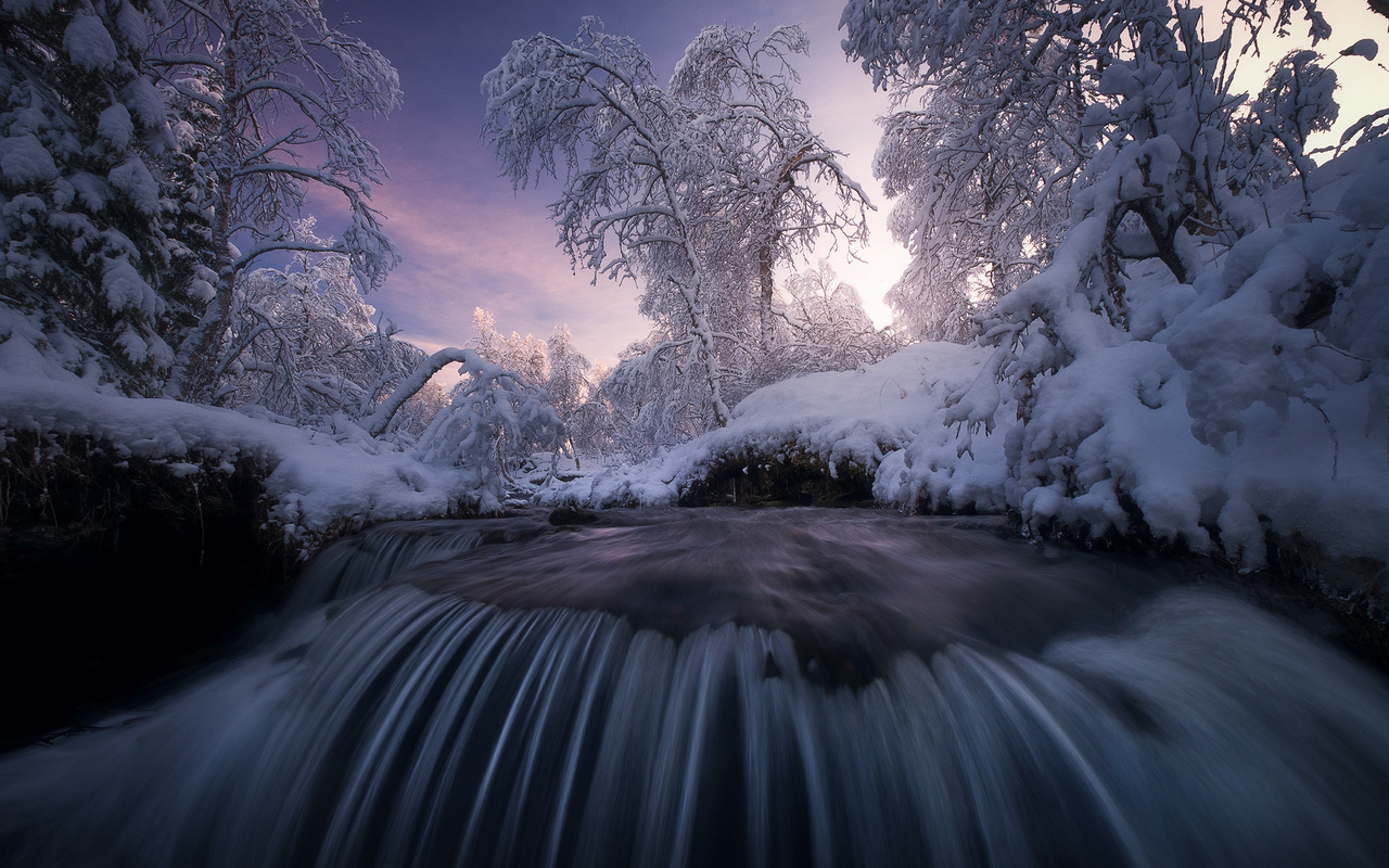 , , , , , , , , , , , arild heitmann