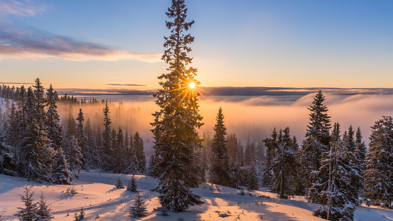 , , , , , , , , , , , , , jorn allan pedersen, allan pedersen