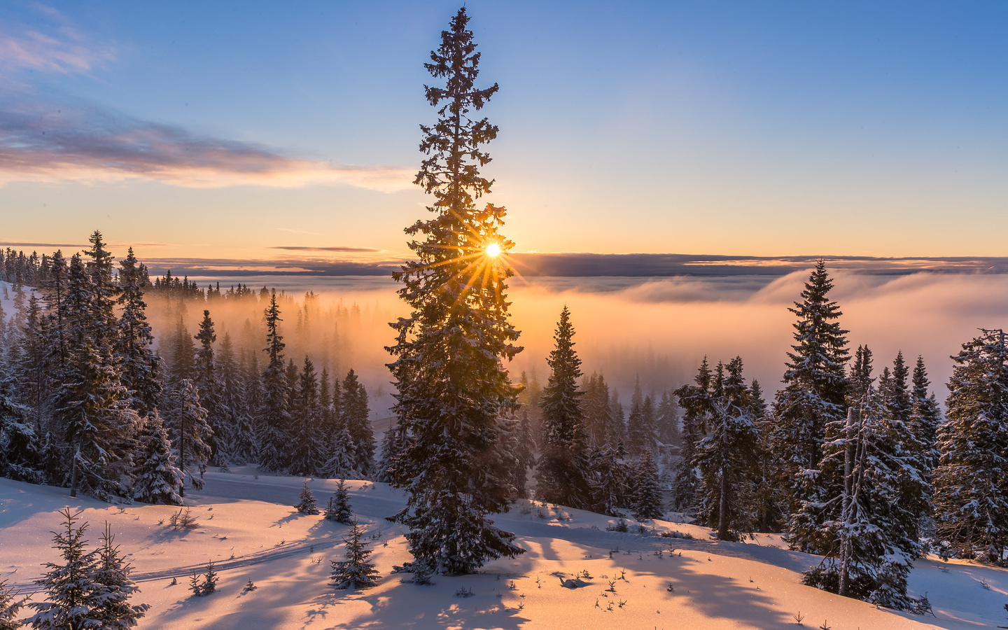 , , , , , , , , , , , , , jorn allan pedersen, allan pedersen