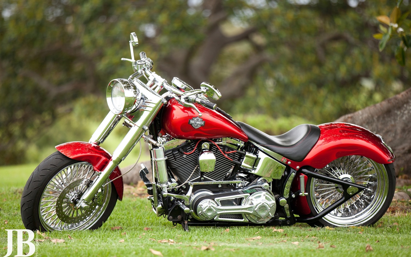 , harley davidson, red, 