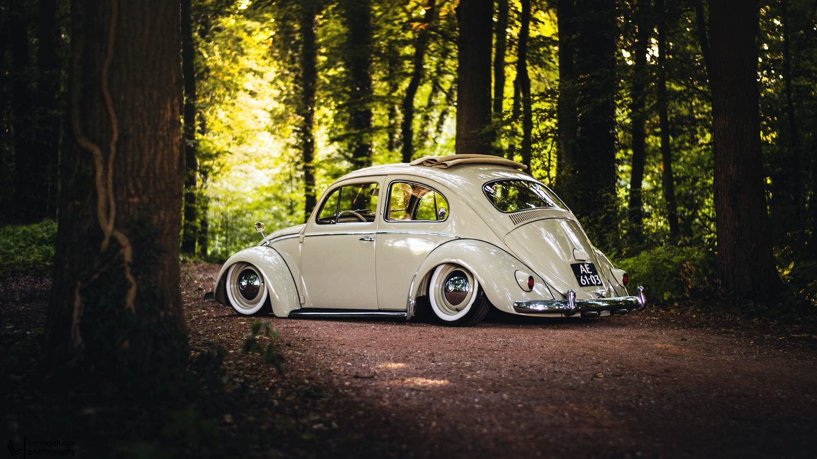 volkswagen, beetle