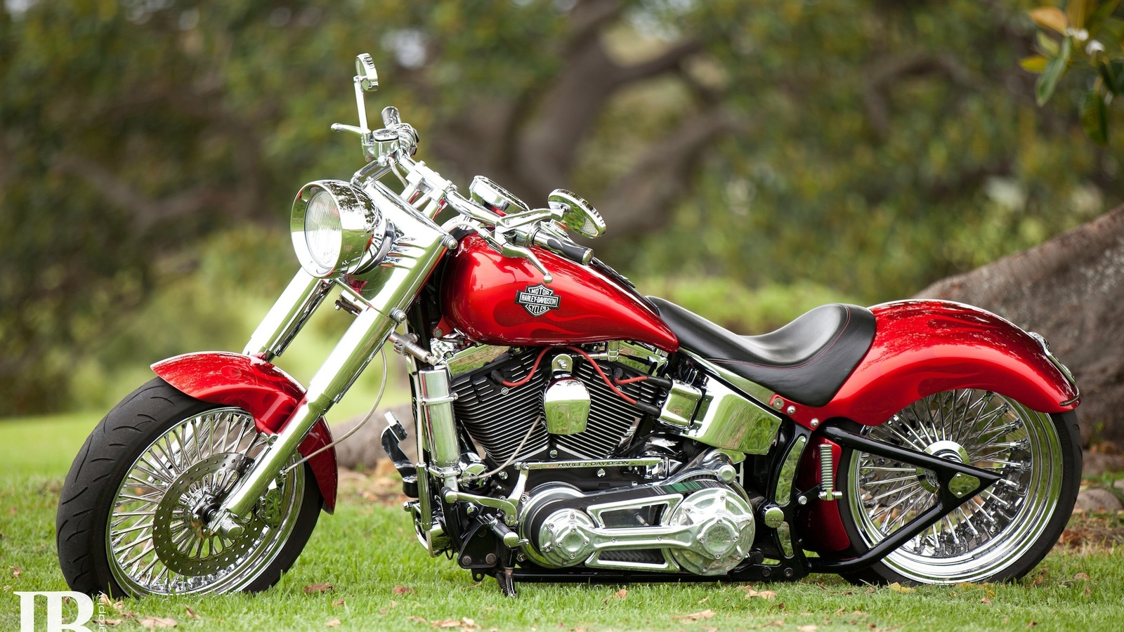 , harley davidson, red, 