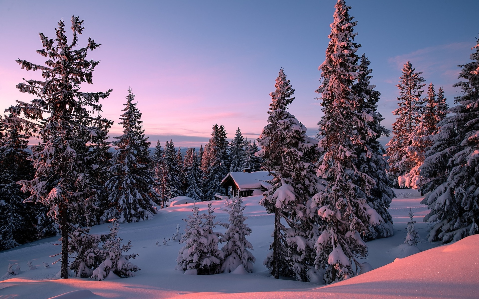 , , , , , , allan pedersen, , , 