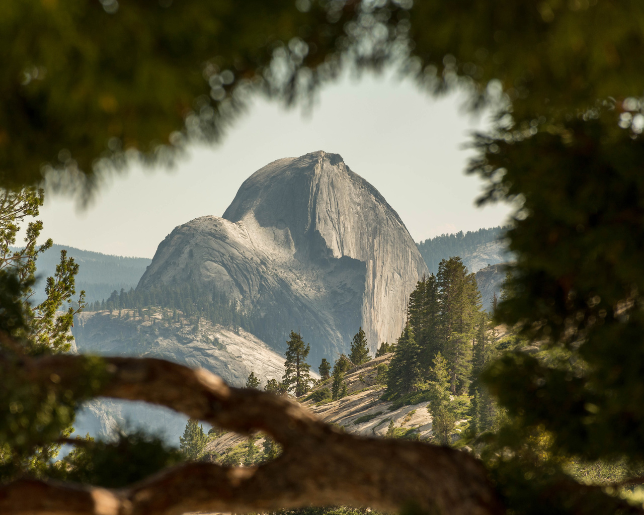 yosemite, national park, 