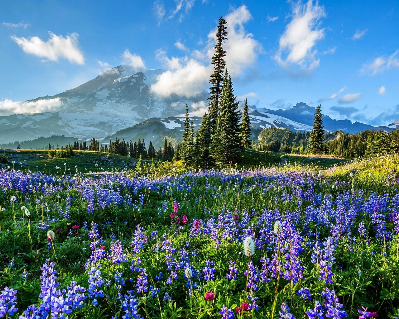 , , , , mount rainier national park, ,   -