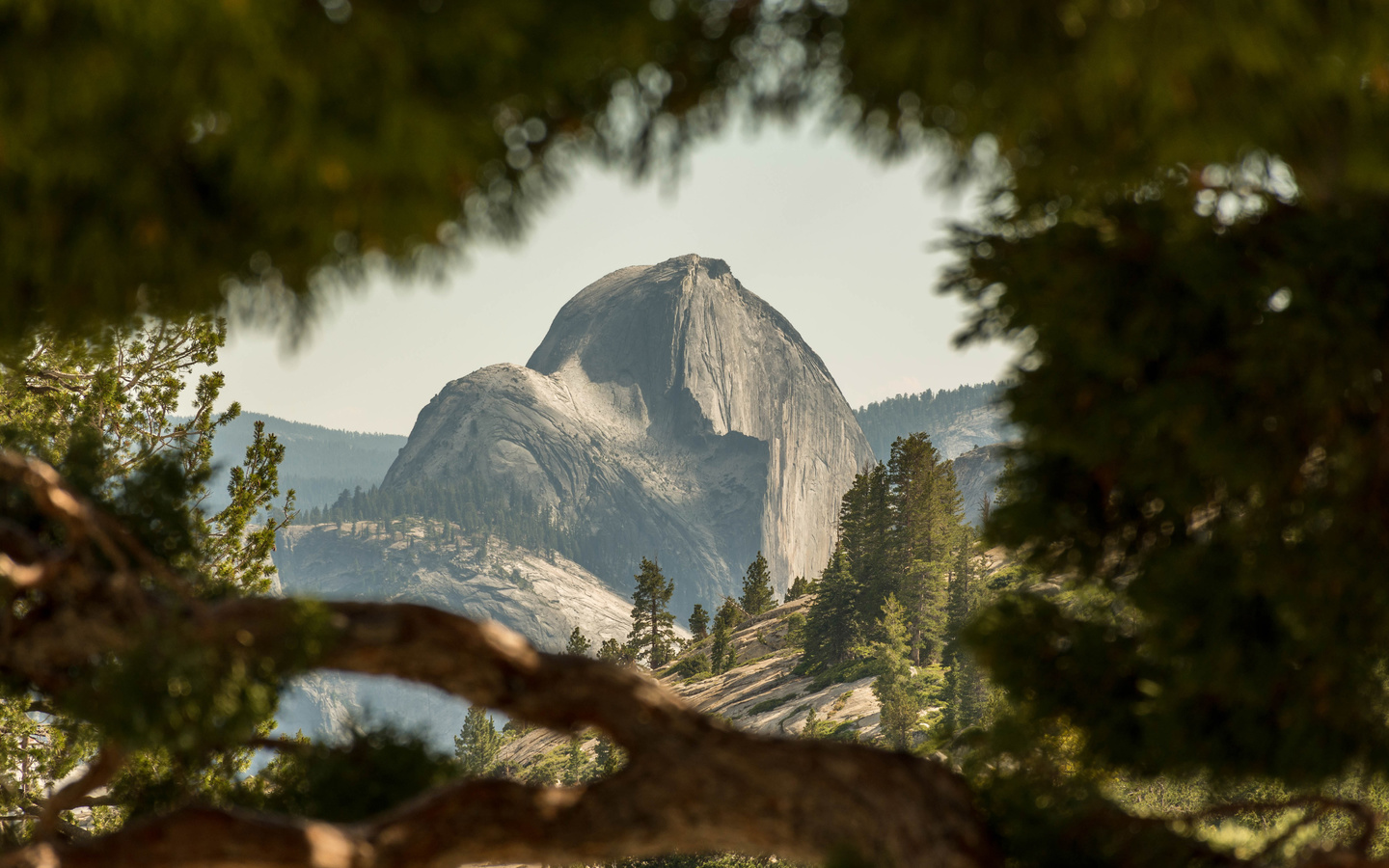 yosemite, national park, 