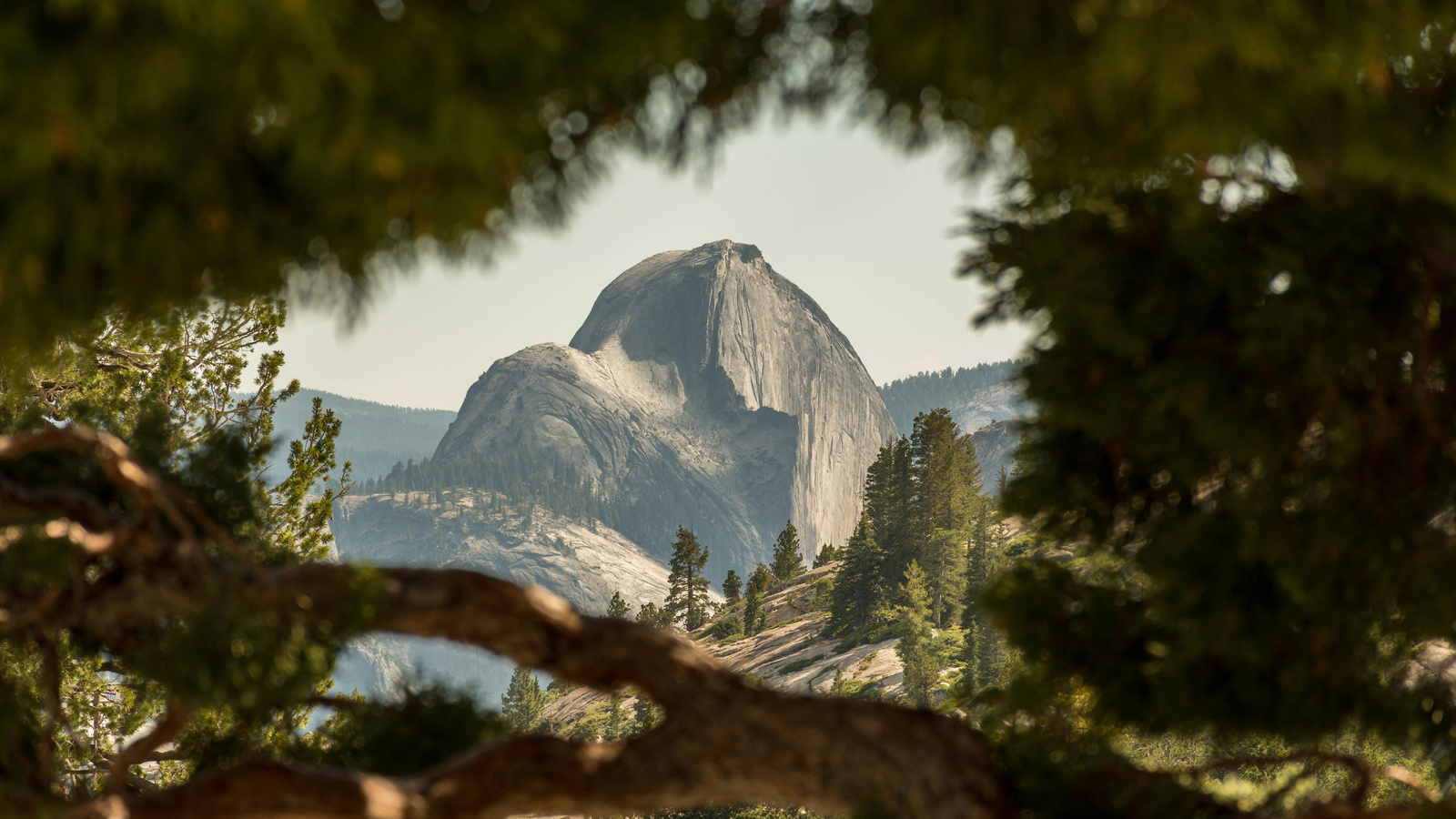 yosemite, national park, 