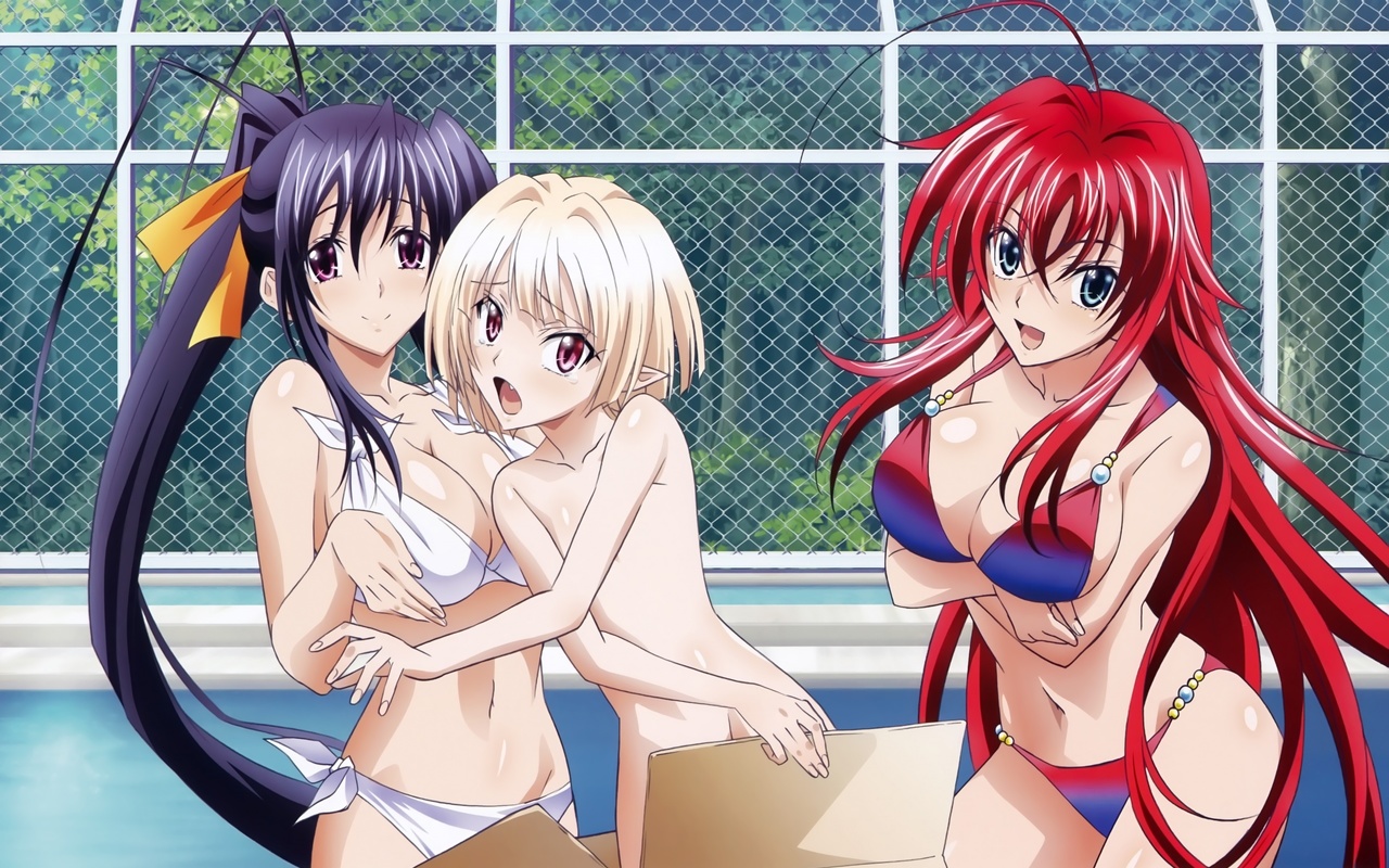 , , , dxd, high school dxd, riasu guremori, himejima akeno