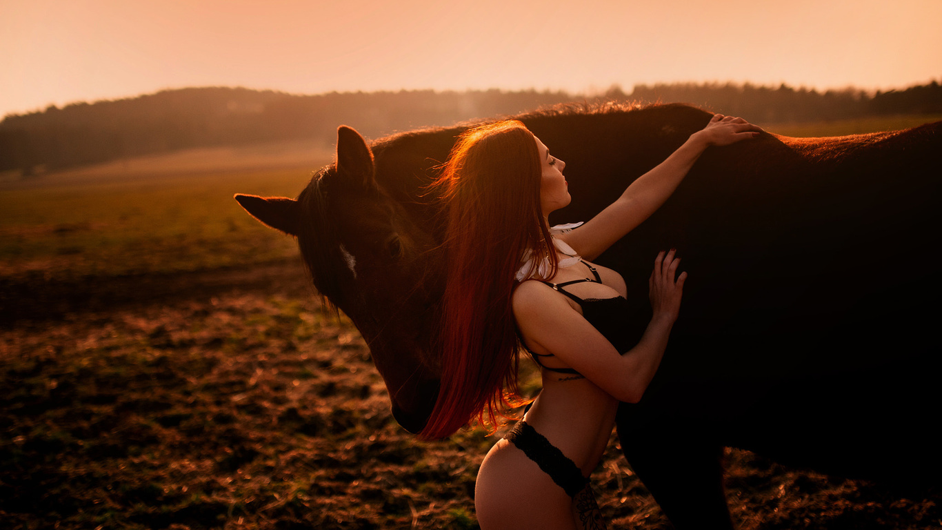 women, ass, brunette, horse, black lingerie, sunset, tattoo, long hair, animals, women outdoors, painted nails