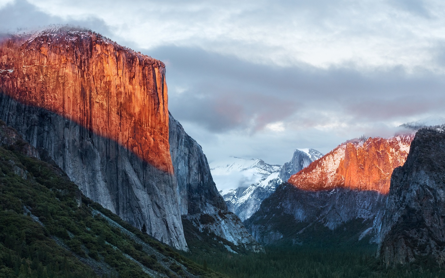 yosemite, national park, sunlight, california, united states