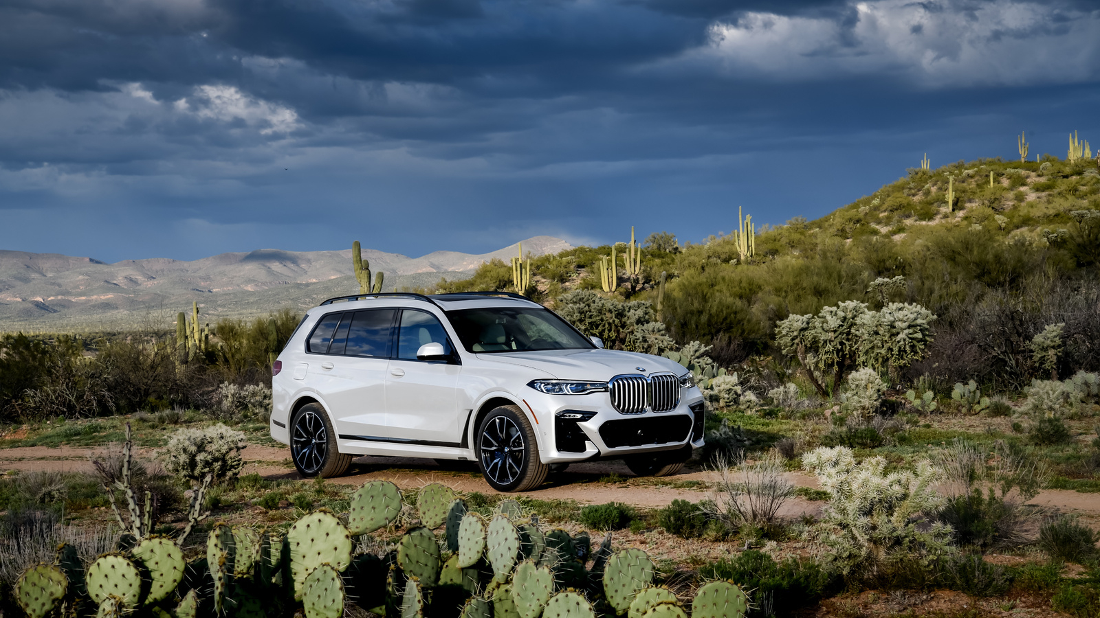 bmw, x7, g07 m50i