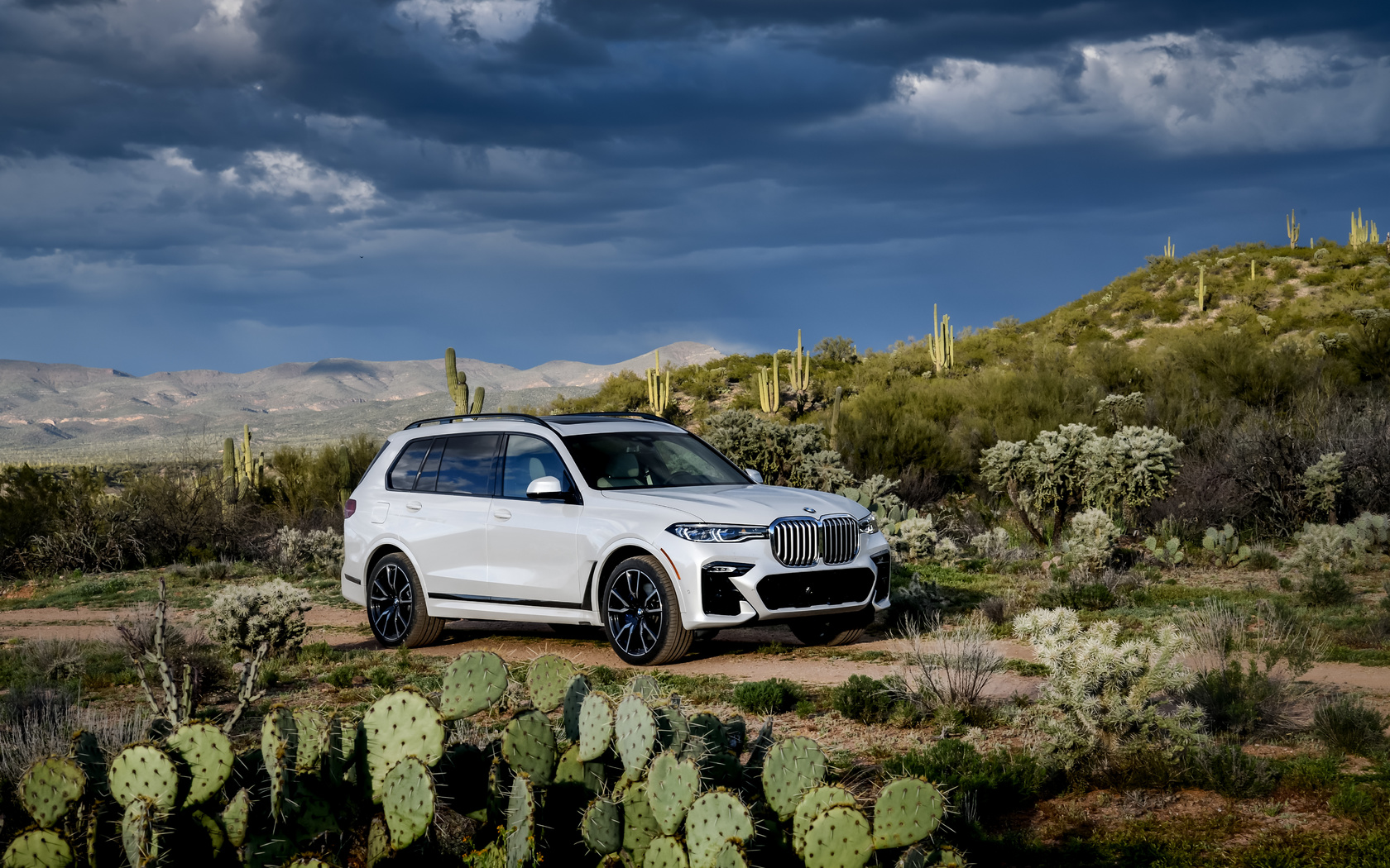 bmw, x7, g07 m50i