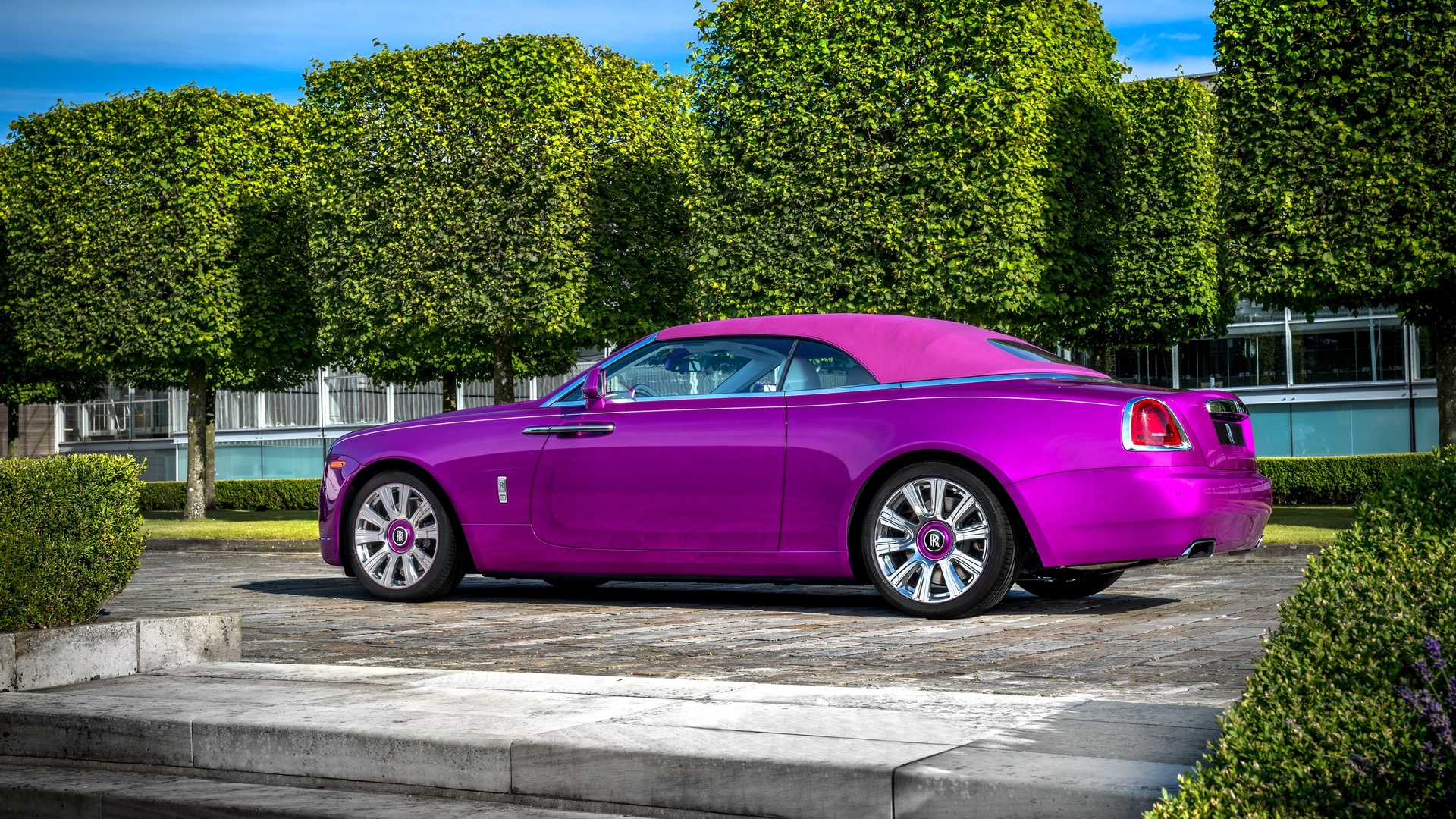 rolls-royce, dawn in fuxia