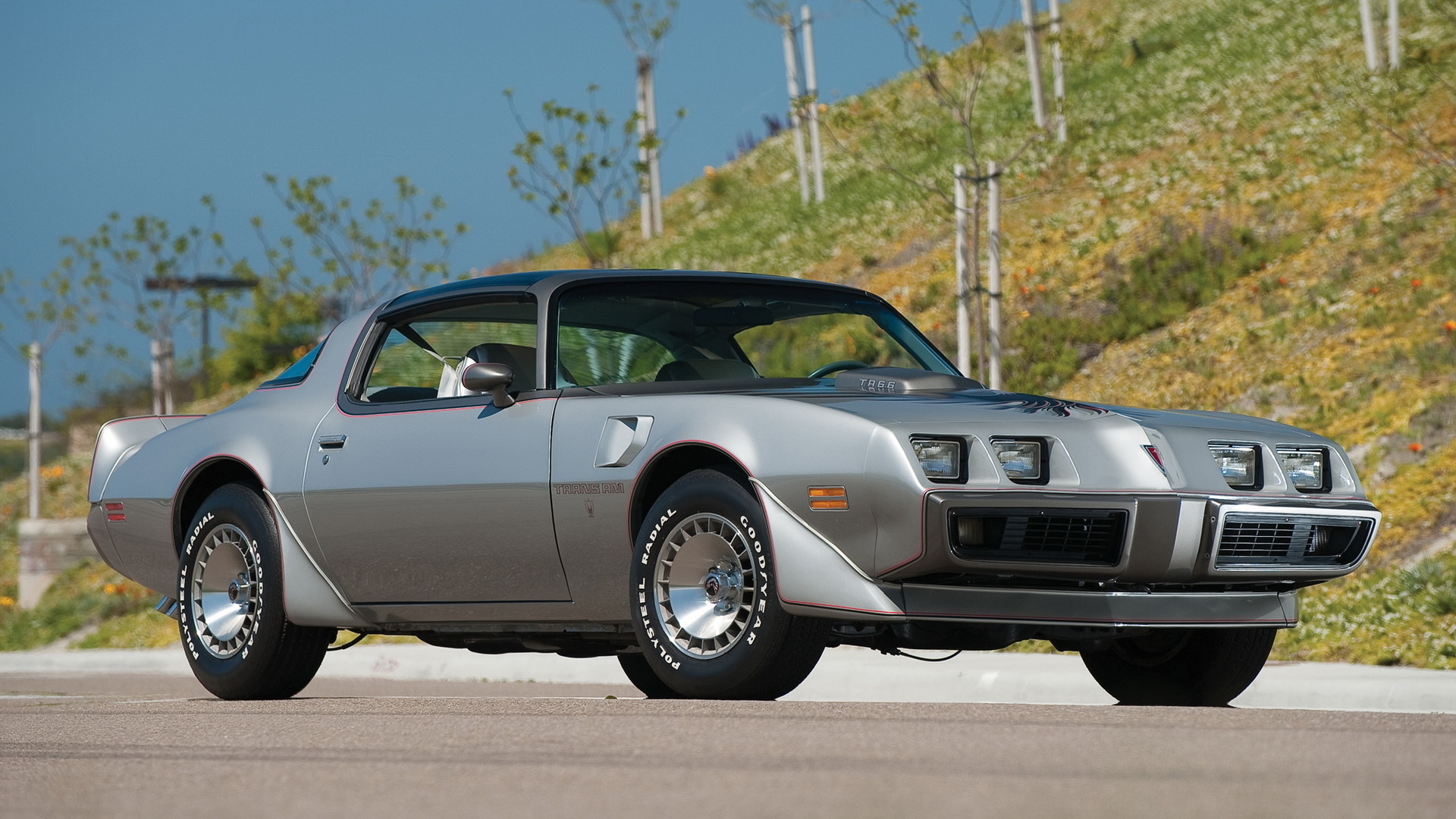 pontiac, firebird, 1979, trans am