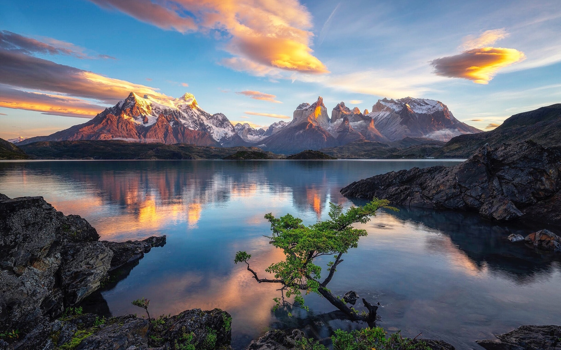 , , , , , , , , timothy poulton