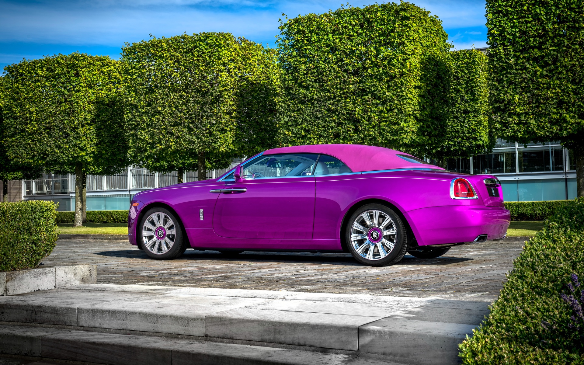 rolls-royce, dawn in fuxia