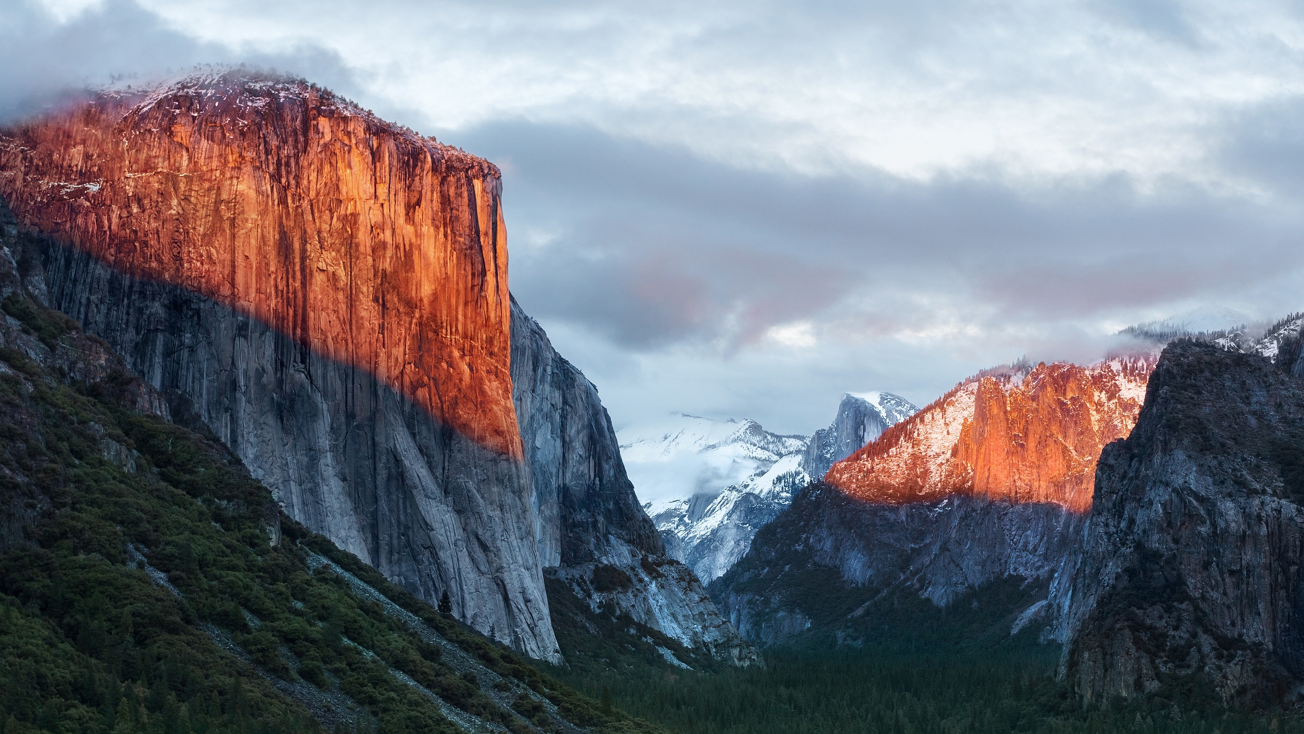 yosemite, national park, sunlight, california, united states