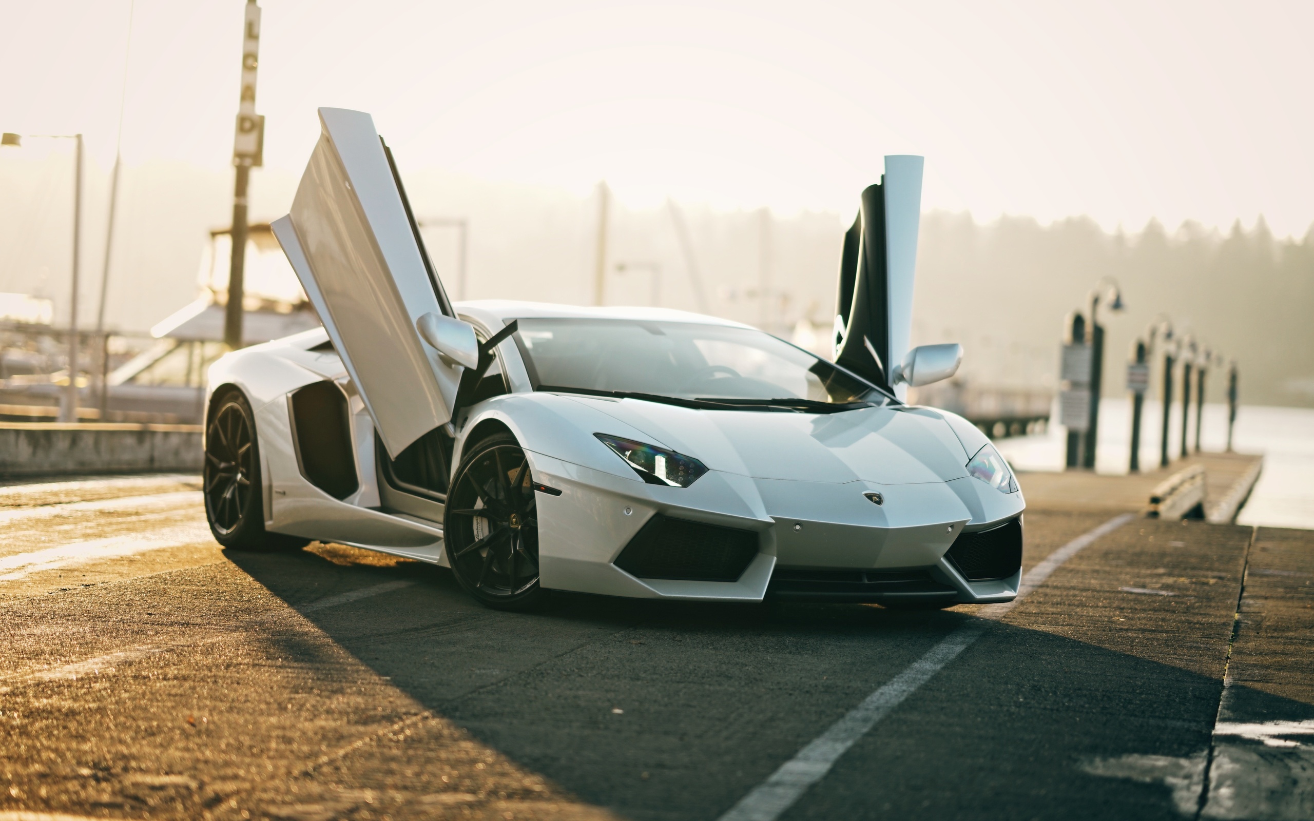 white, lamborghini, aventador