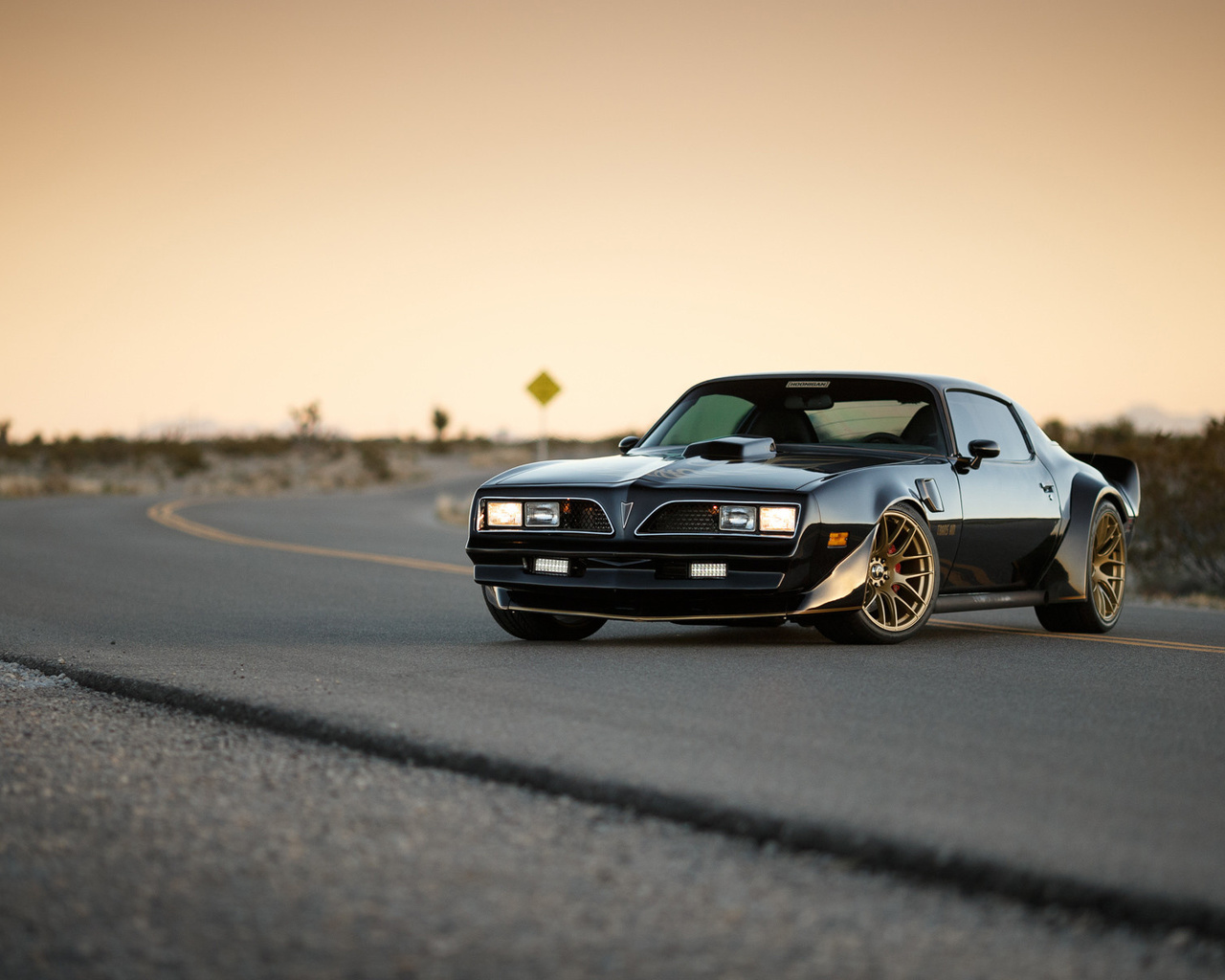 pontiac, firebird, 1969, trans am