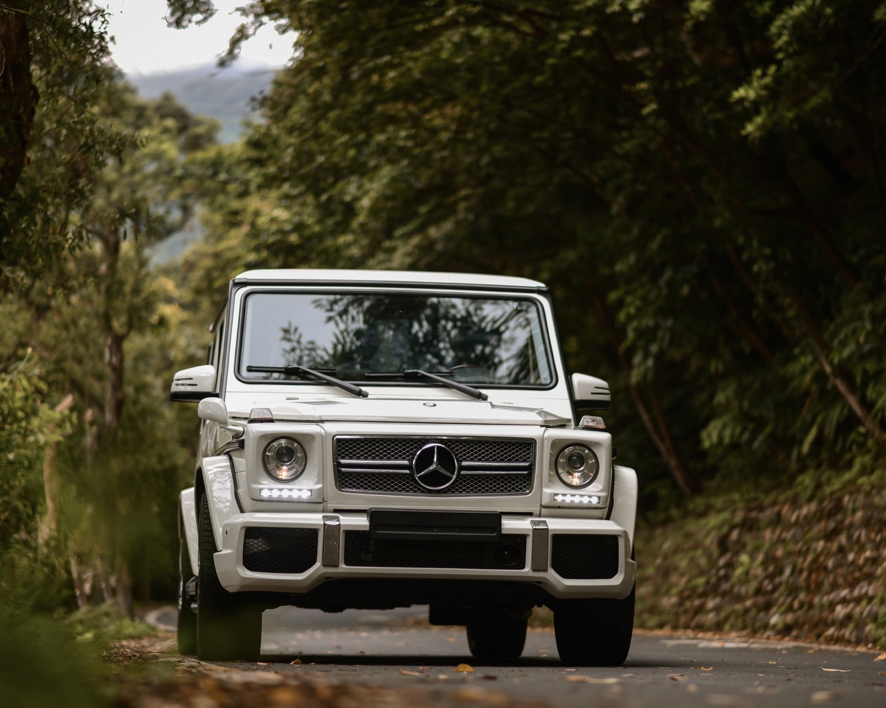 mercedes-benz, g-class, mercedes, gelandewagen