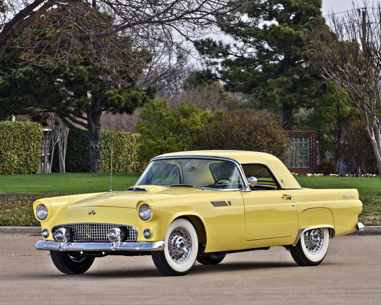 ford, thunderbird, 1956