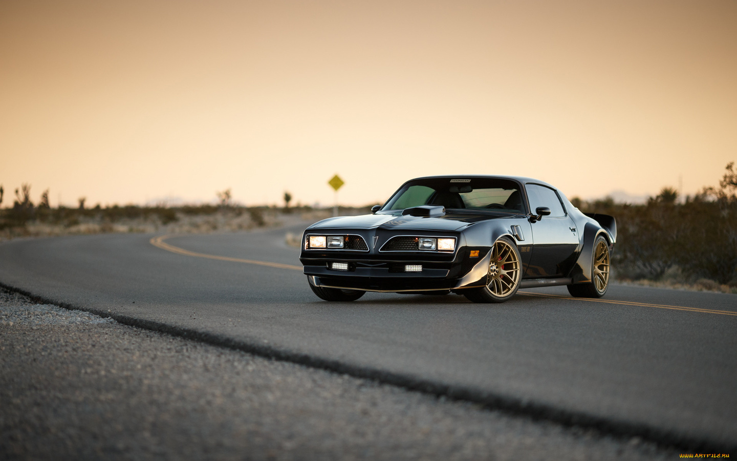 pontiac, firebird, 1969, trans am