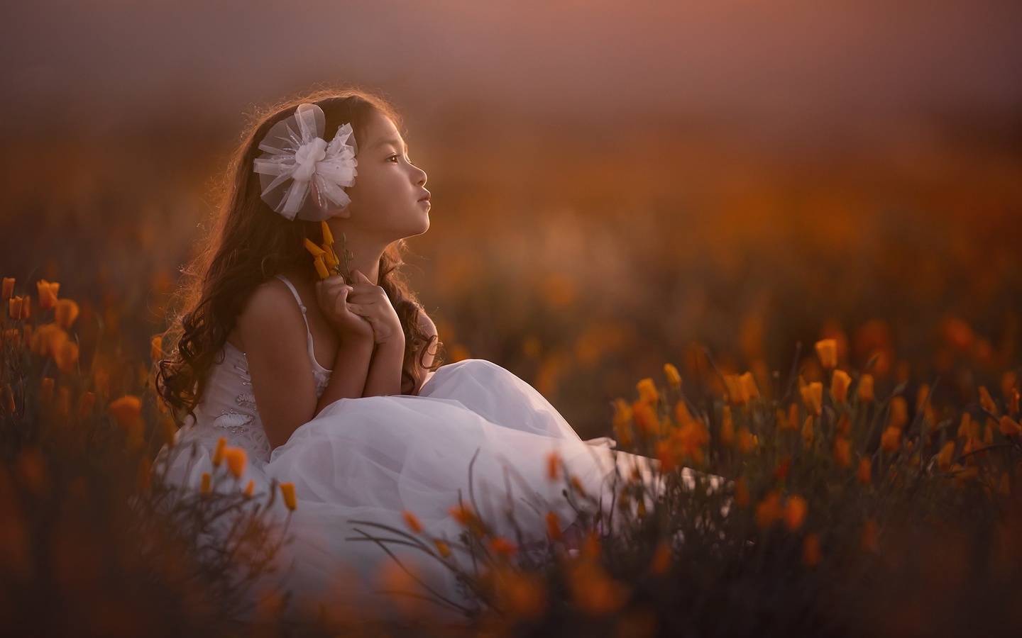 , , , , , , , lisa holloway