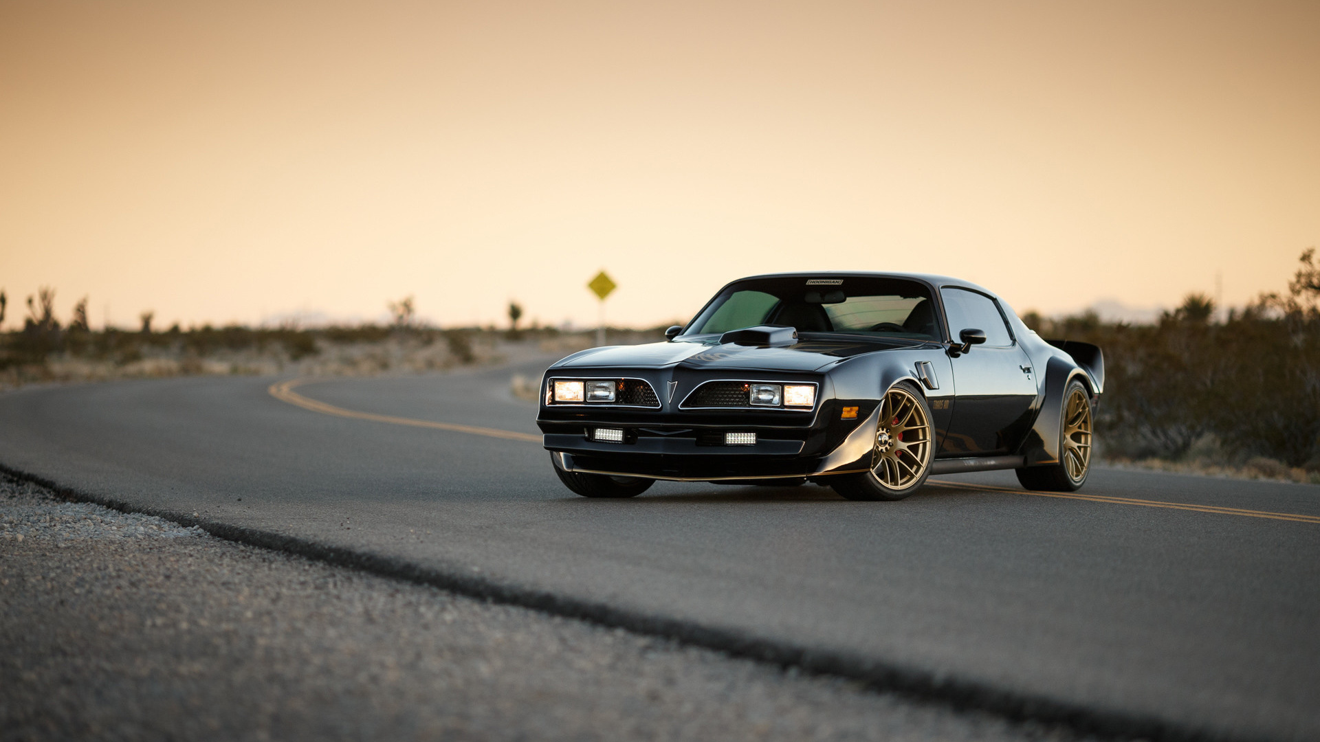 pontiac, firebird, 1969, trans am