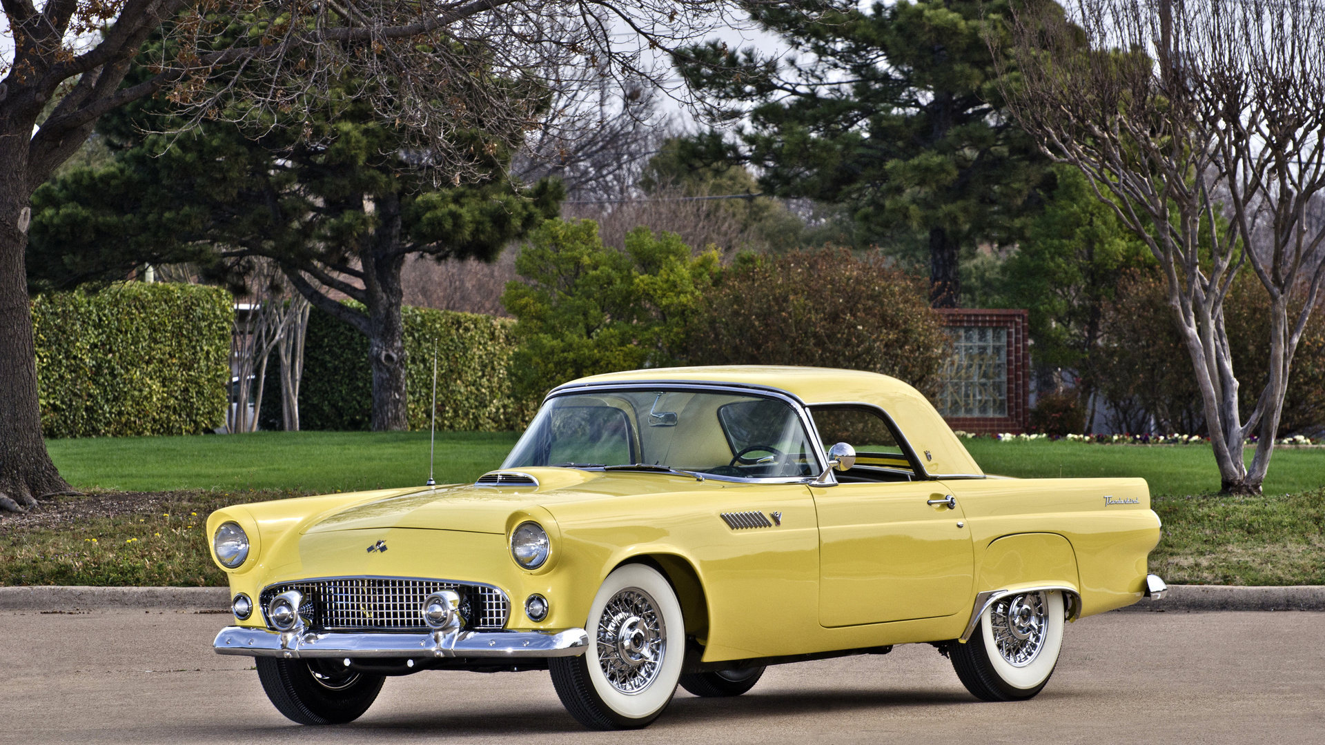 ford, thunderbird, 1956