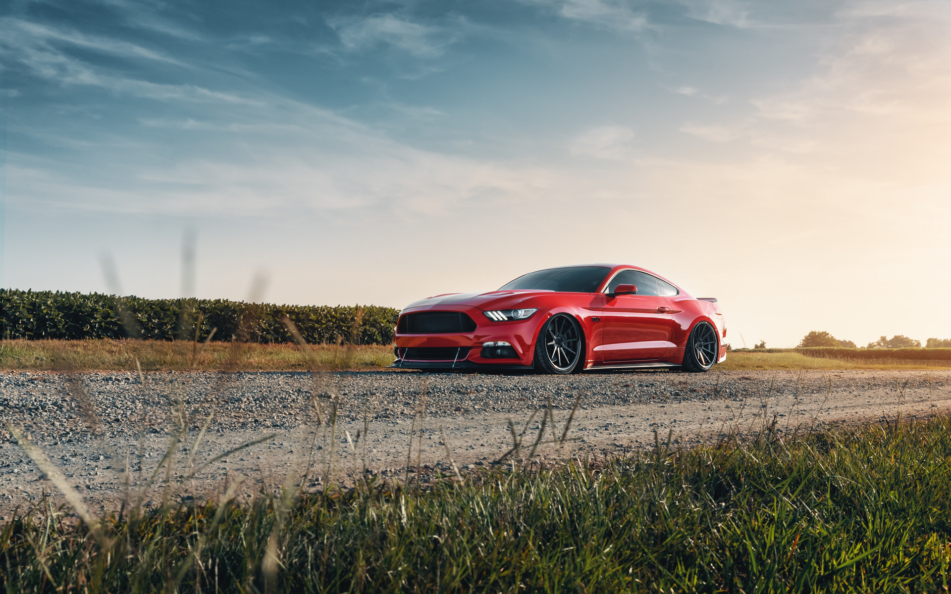 ford, mustang, red