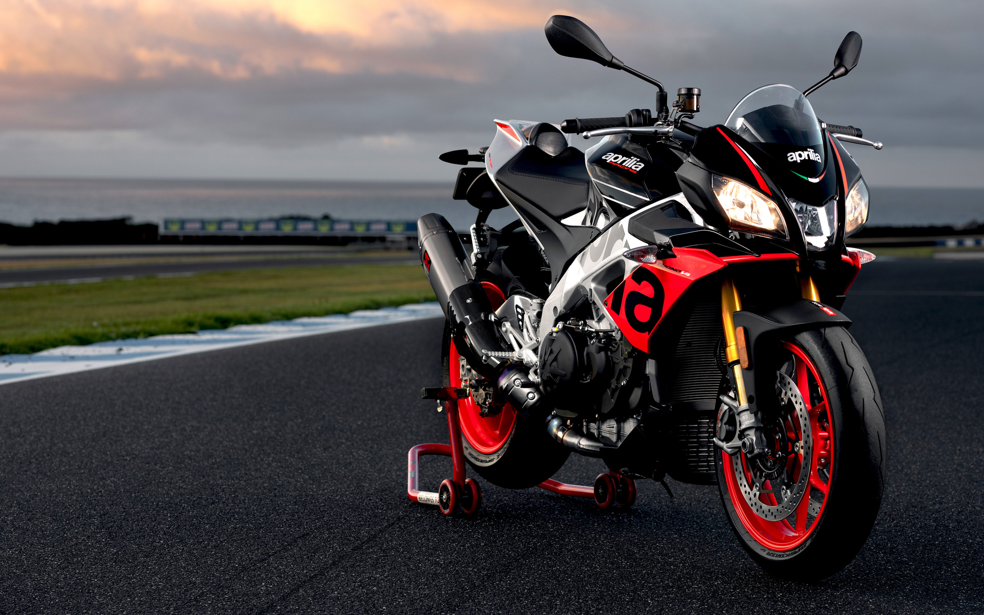 aprilia, tuono, v4, 1100, factory