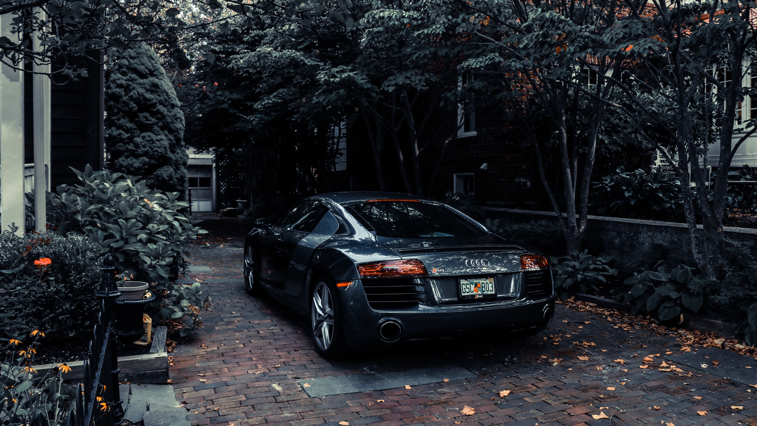 audi, r8