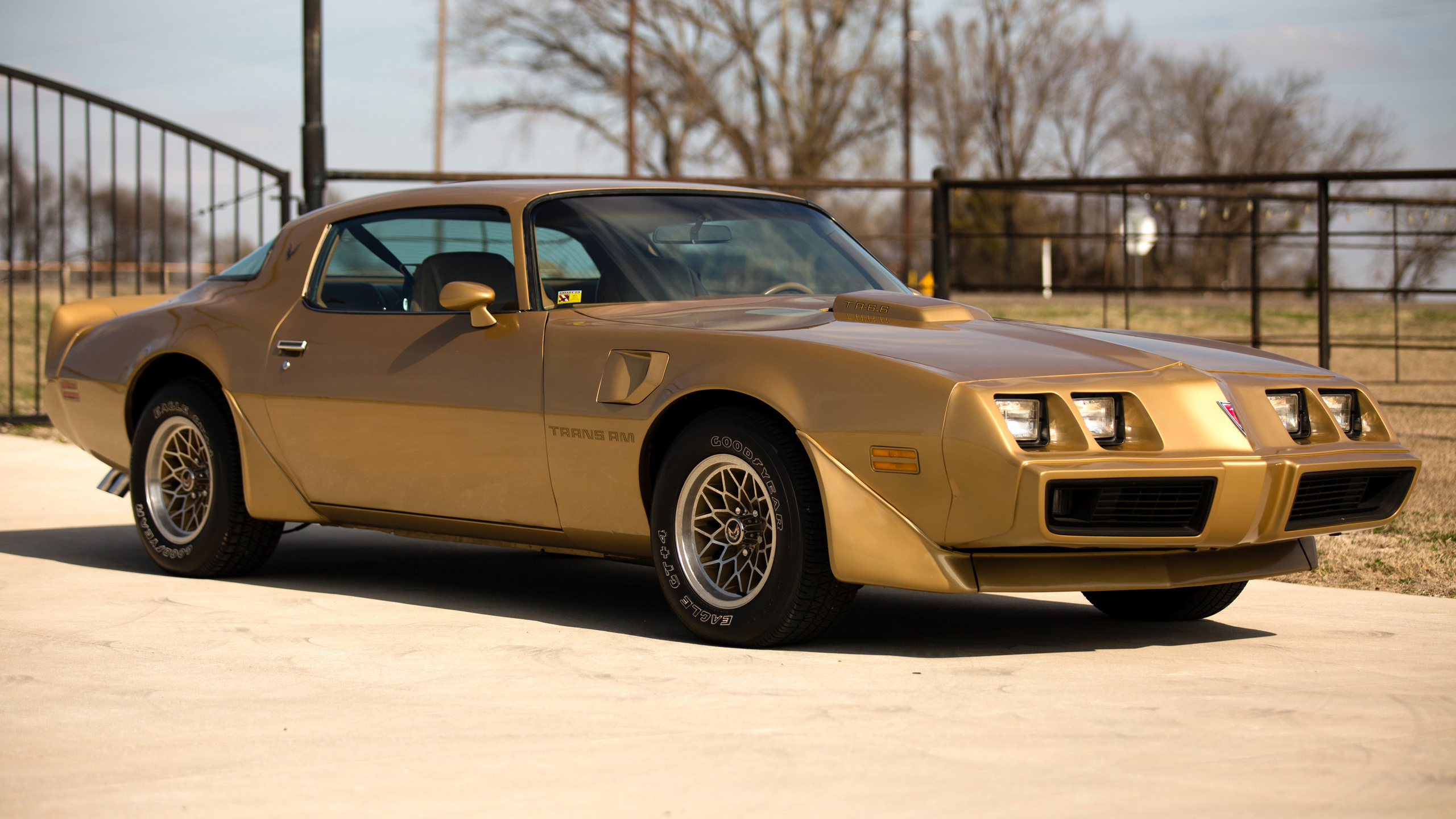 pontiac, firebird, 1979, trans am