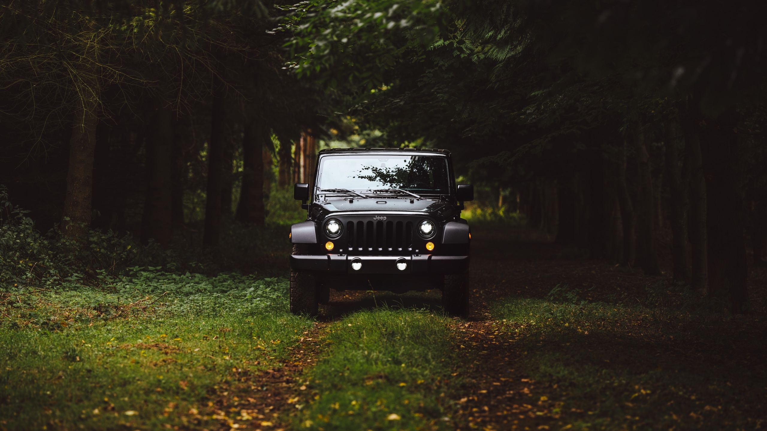 jeep, , , 