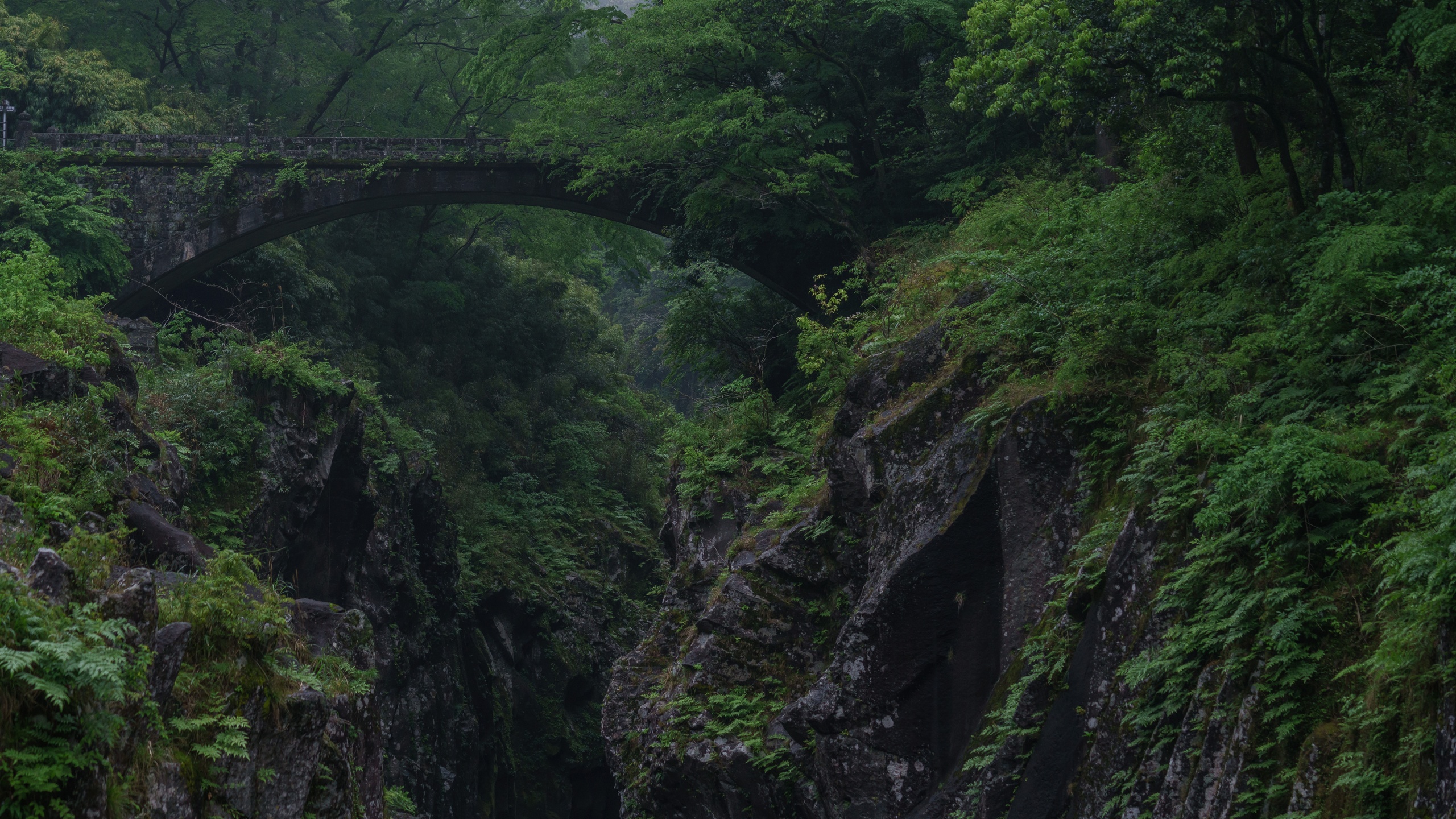 , , , , , , trees, rocks, forest, bridge, gorge, vegetation