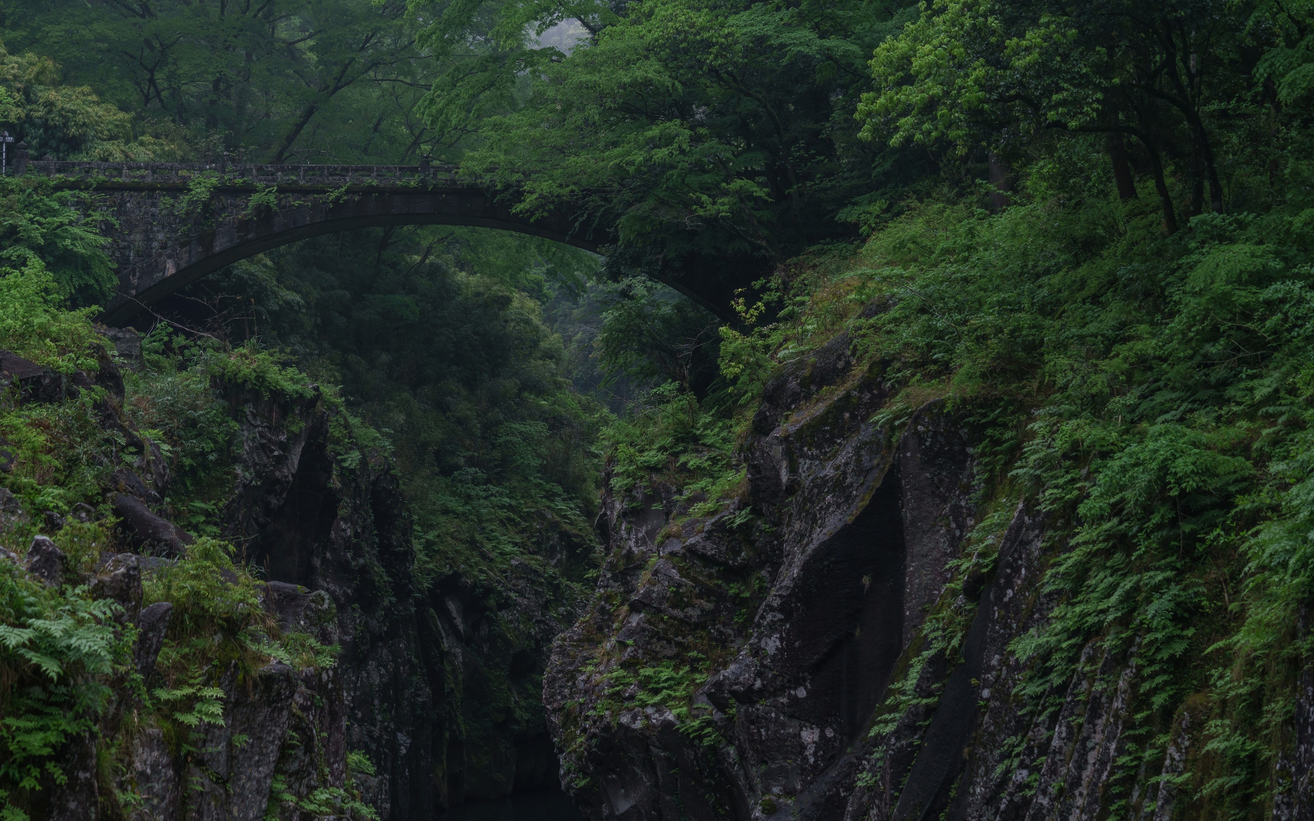 , , , , , , trees, rocks, forest, bridge, gorge, vegetation