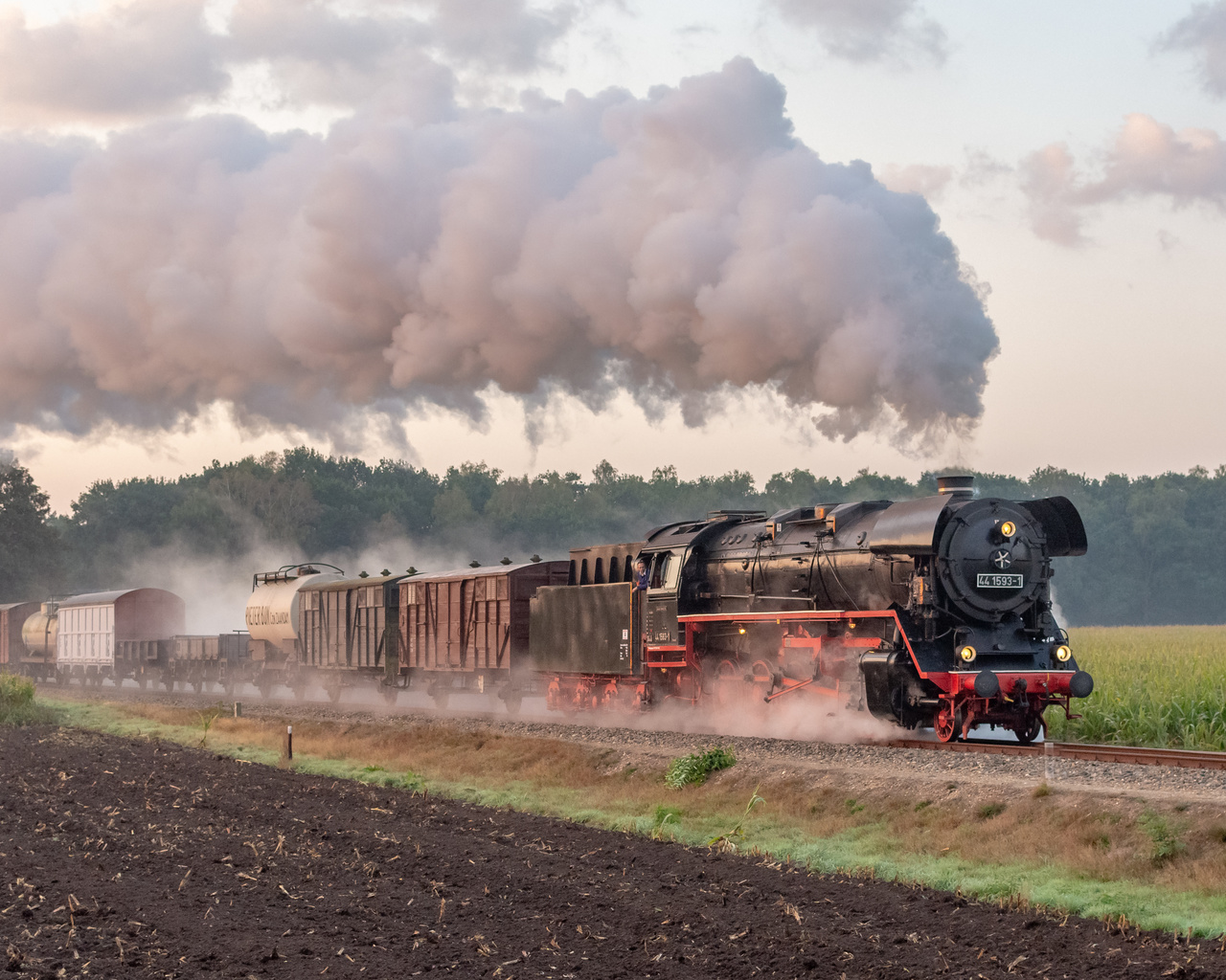 , steam, locomotive, railroad, train, grass, apeldoorn, guelders, netherlands