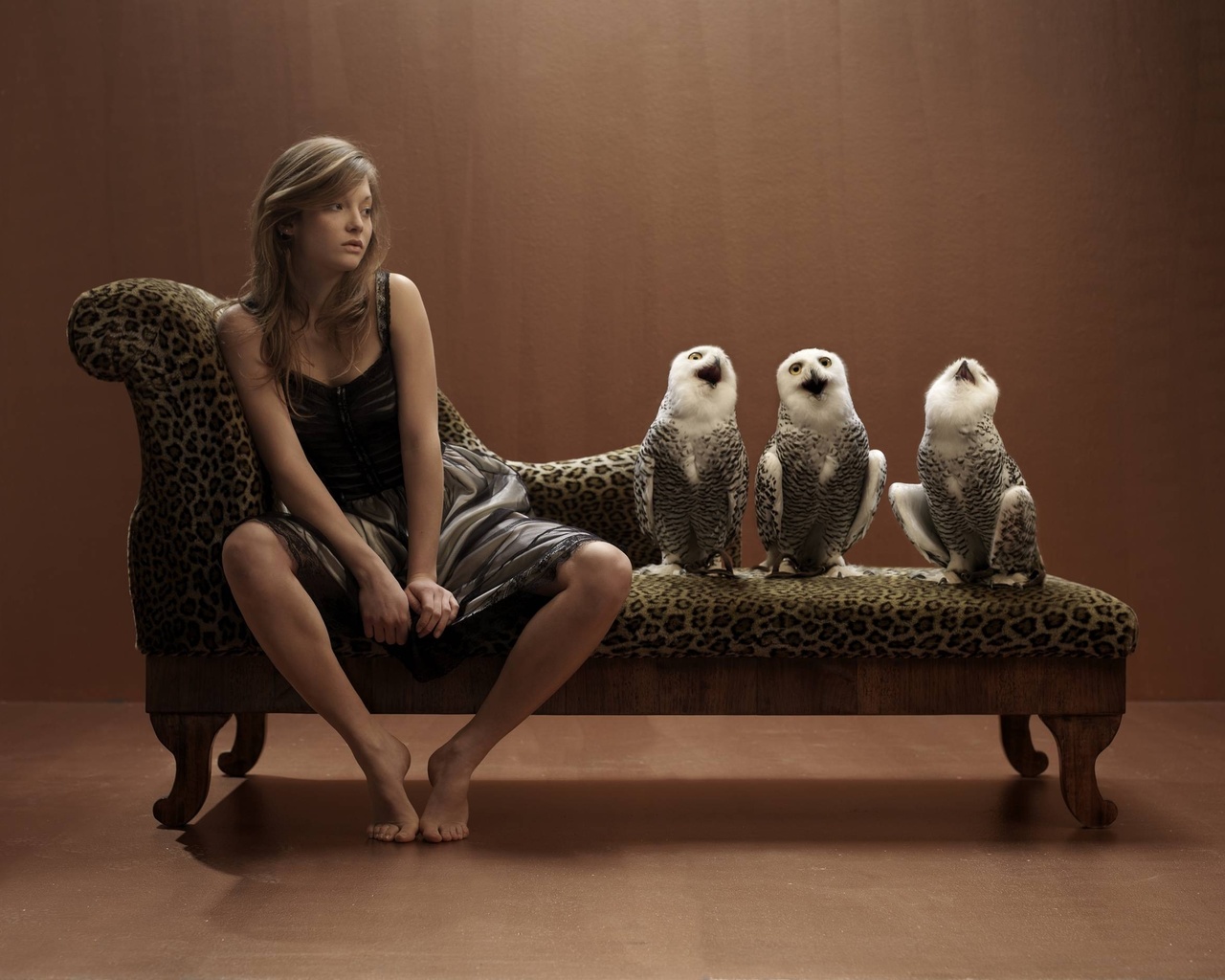 funny, owl, owls, women, brunette, situation