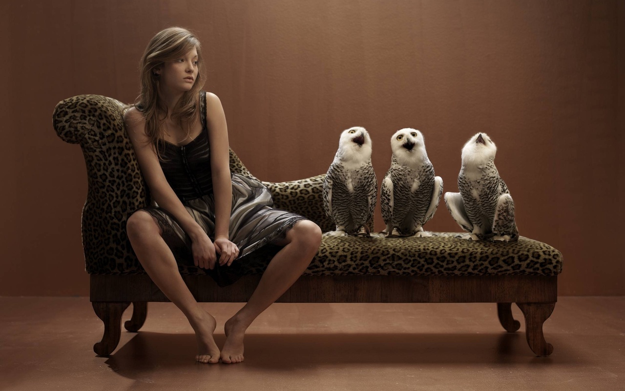 funny, owl, owls, women, brunette, situation